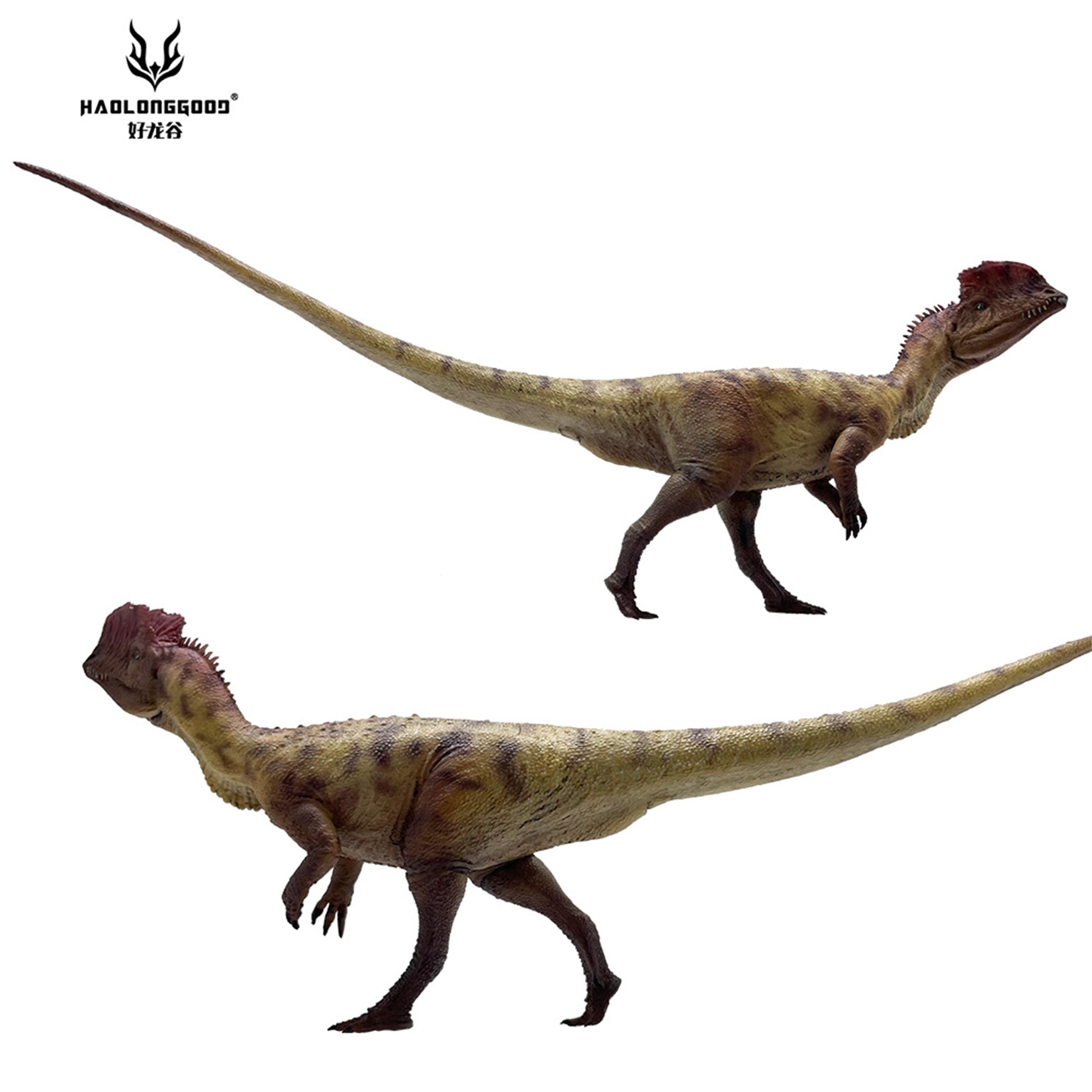 HAOLONGGOOD 1:35 Scale Dilophosaurus Pair Model