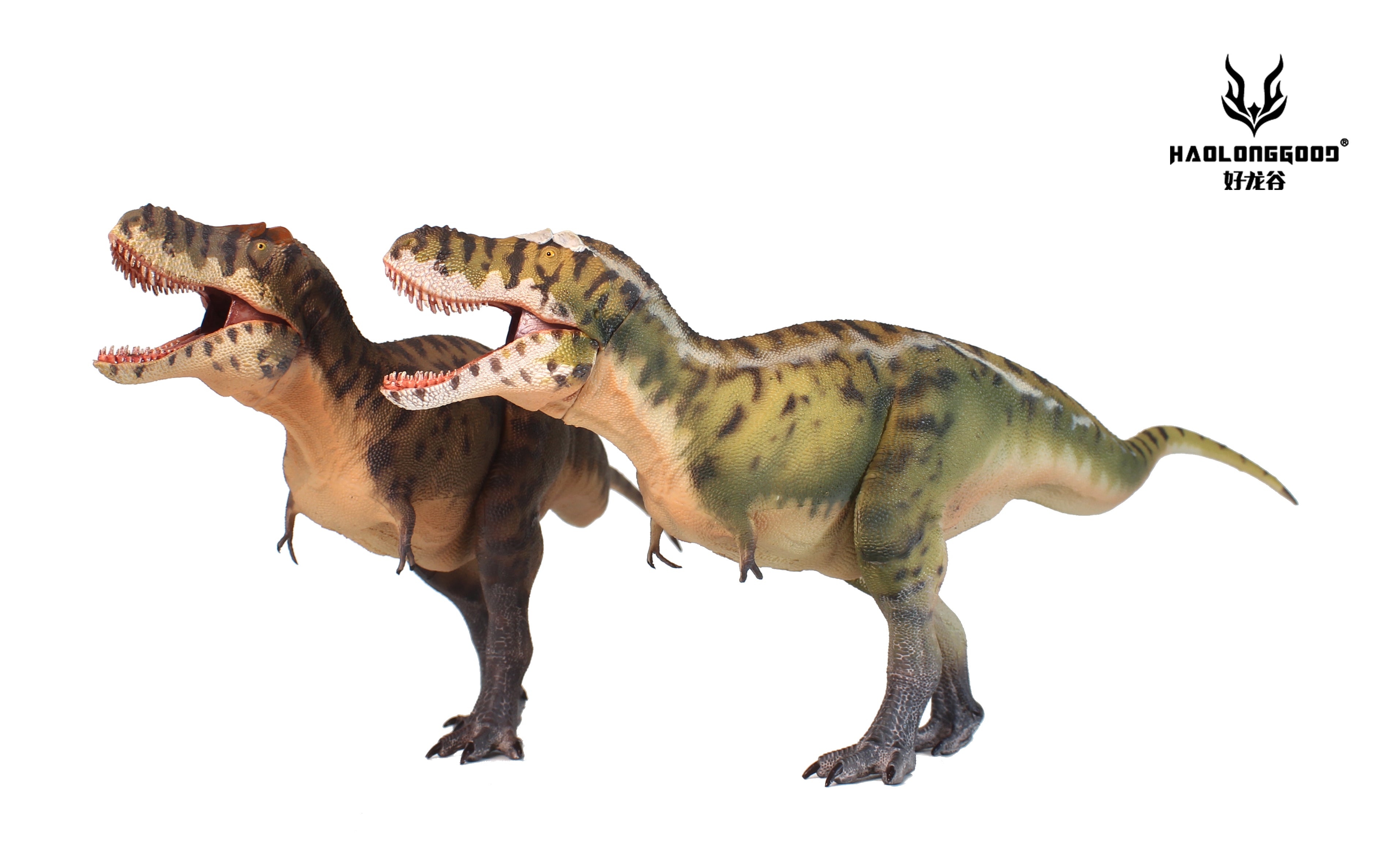 HAOLONGGOOD 1:35 Scale Tarbosaurus Model