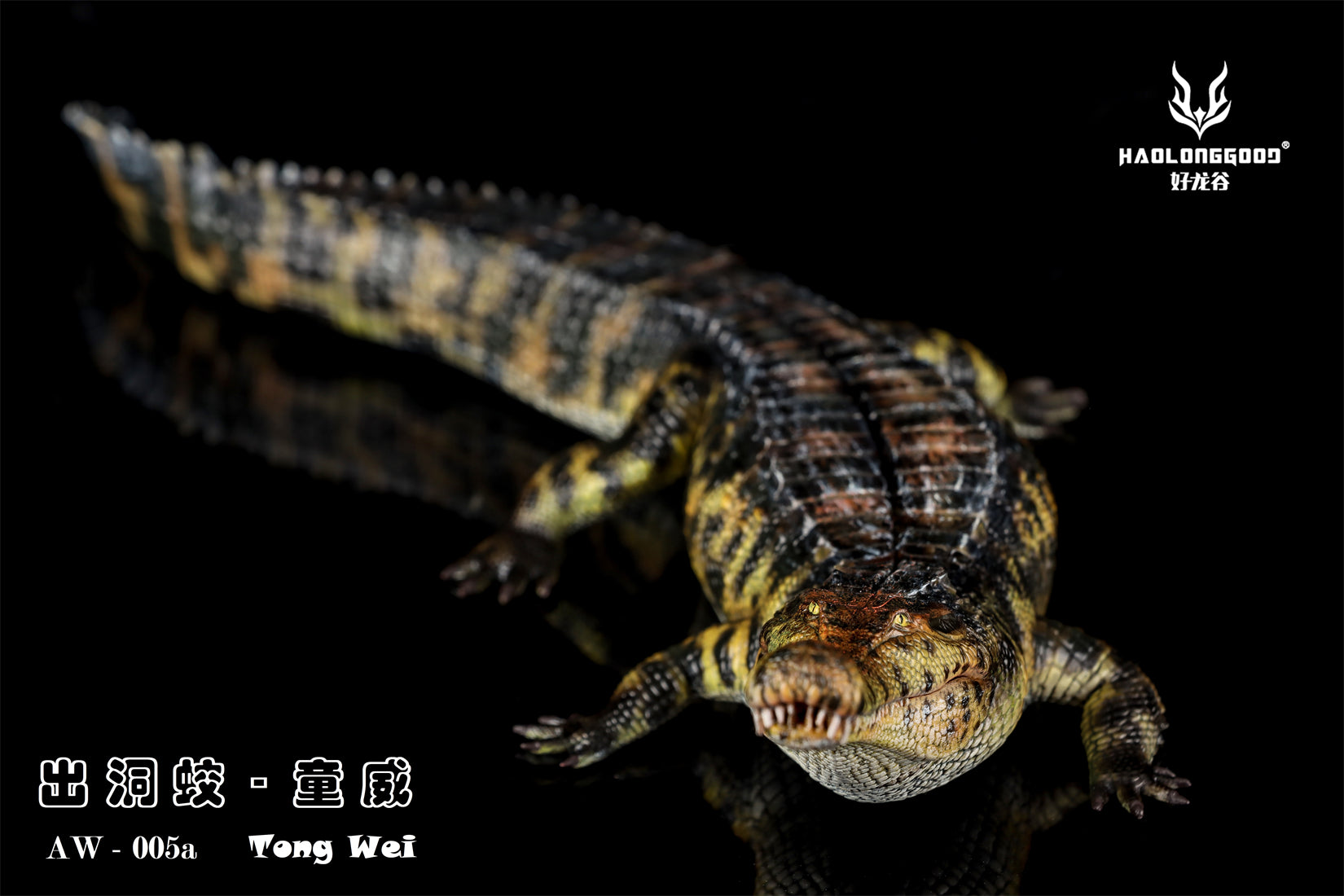HAOLONGGOOD 1:35 Scale Sarcosuchus imperator Model