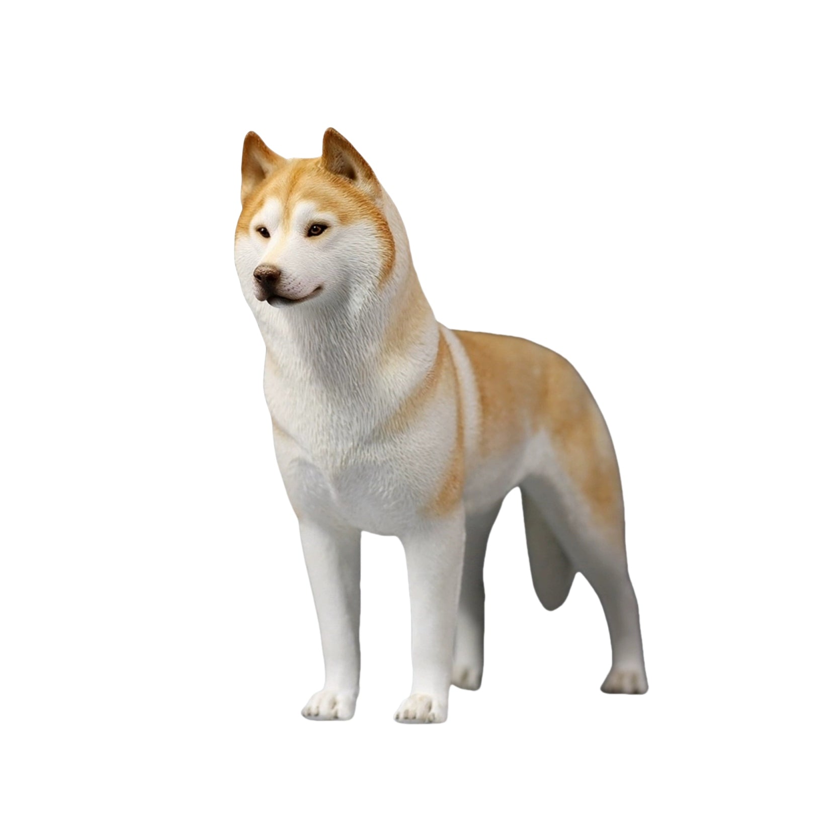 1/6 Siberian Husky Figure