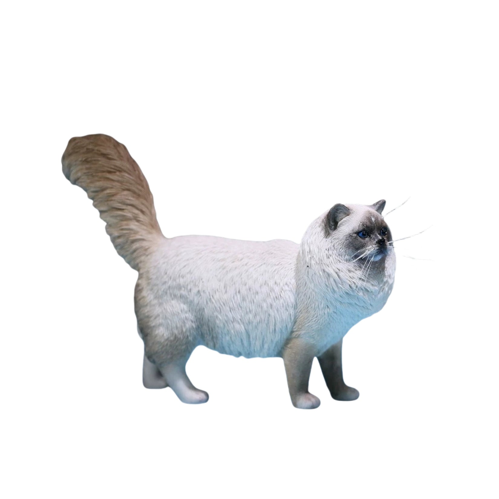 1/6 Ragdoll Figure