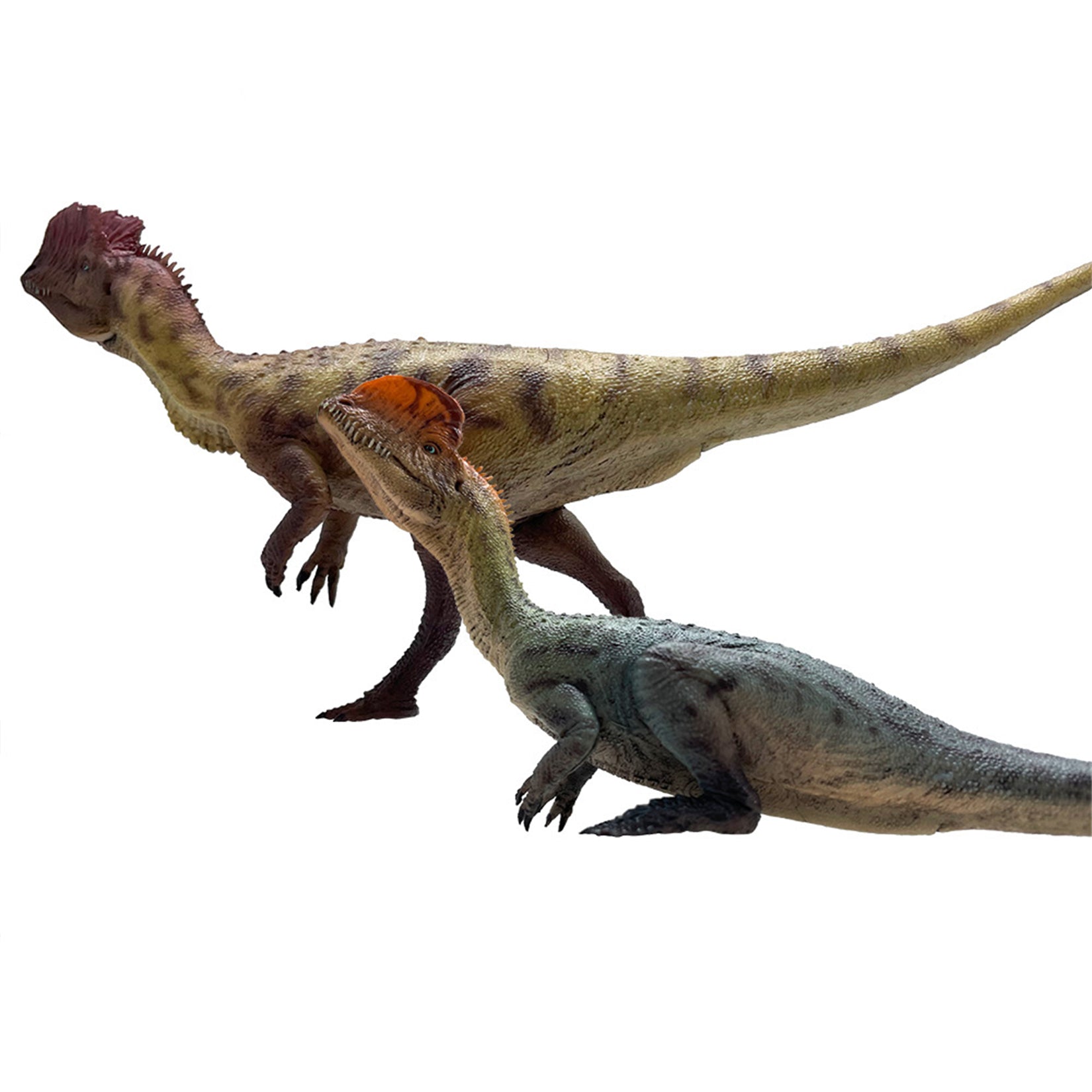 HAOLONGGOOD 1:35 Scale Dilophosaurus Pair Model