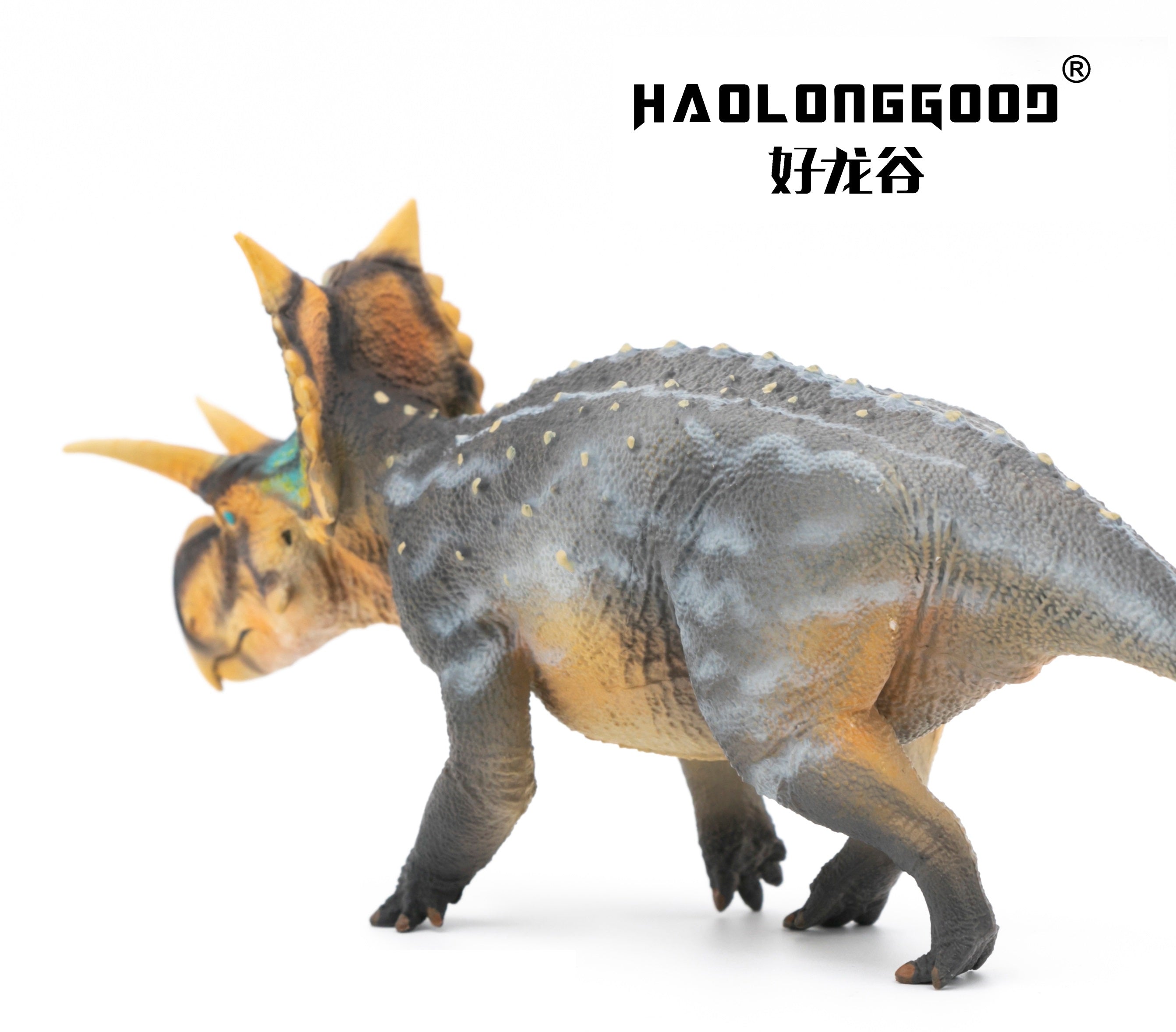 HAOLONGGOOD 1:35 Scale Xenoceratops Model