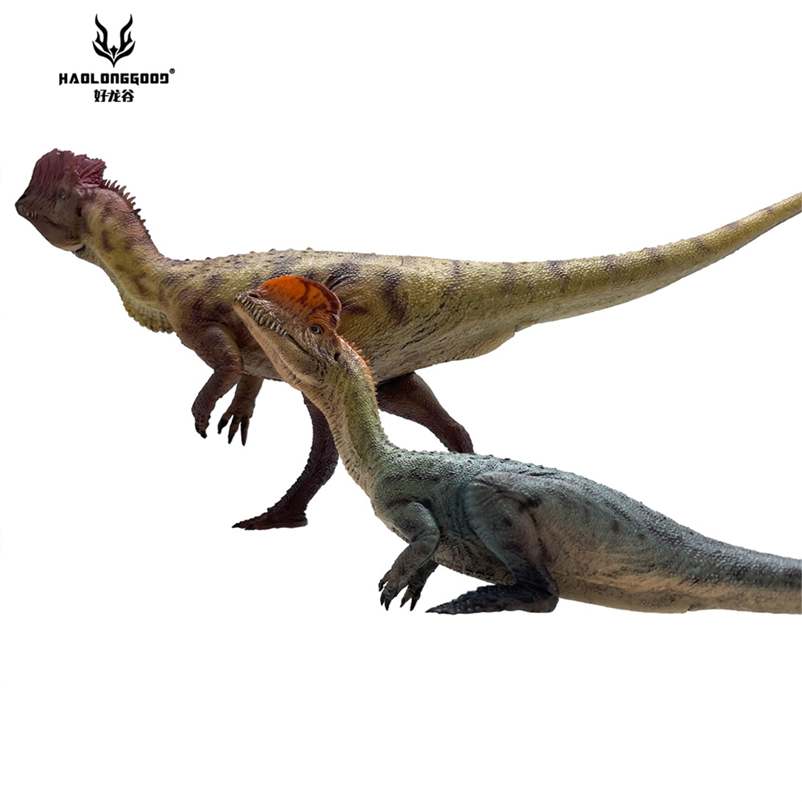 HAOLONGGOOD 1:35 Scale Dilophosaurus Pair Model