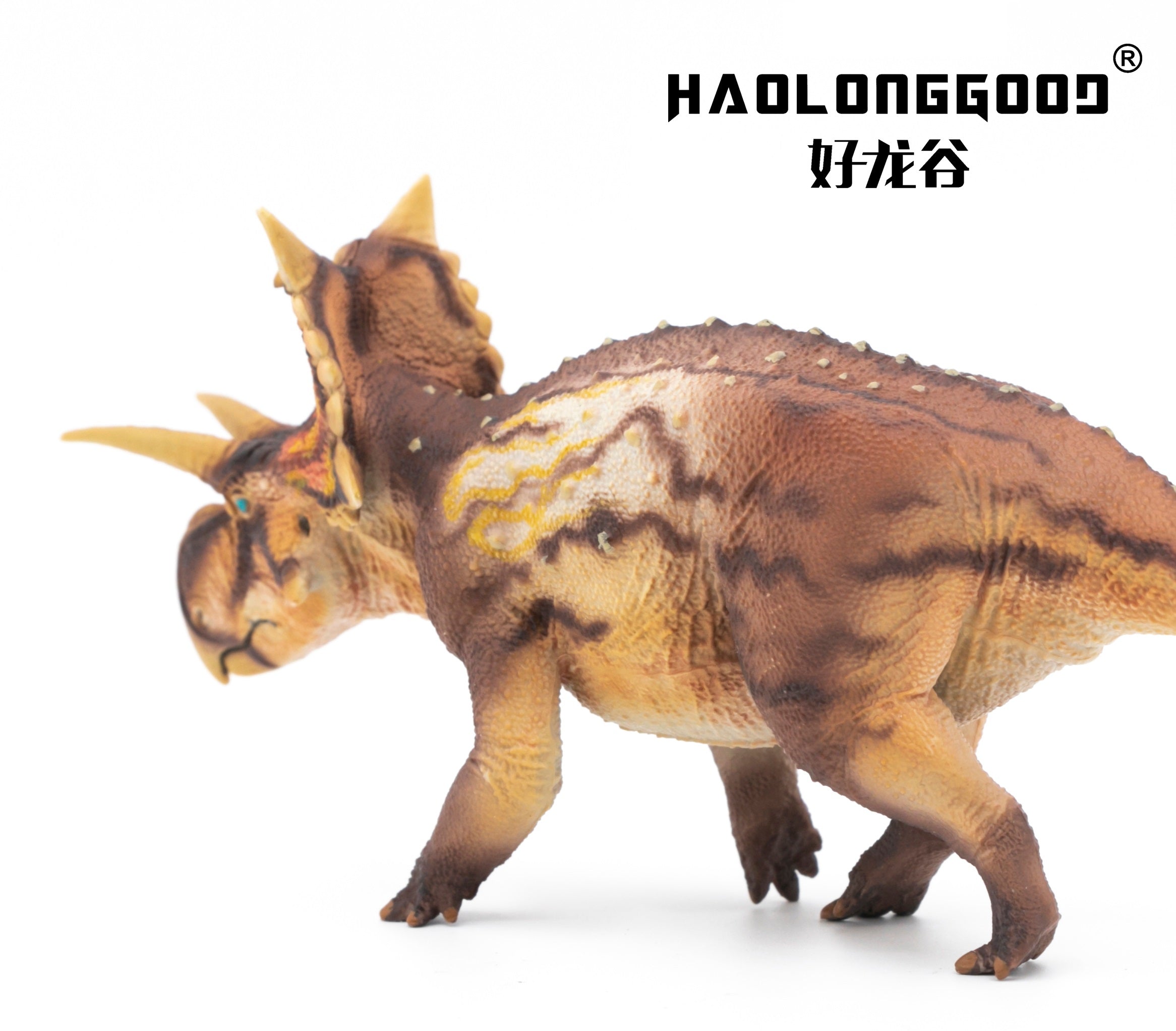 HAOLONGGOOD 1:35 Scale Xenoceratops Model
