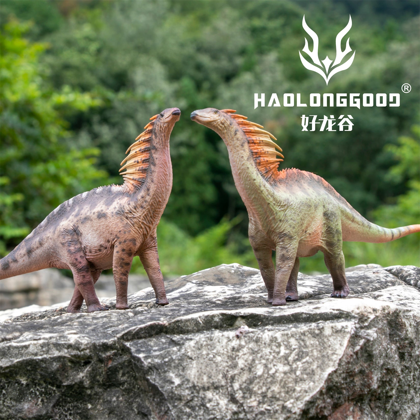 HAOLONGGOOD 1:35 Scale Amargasaurus Model