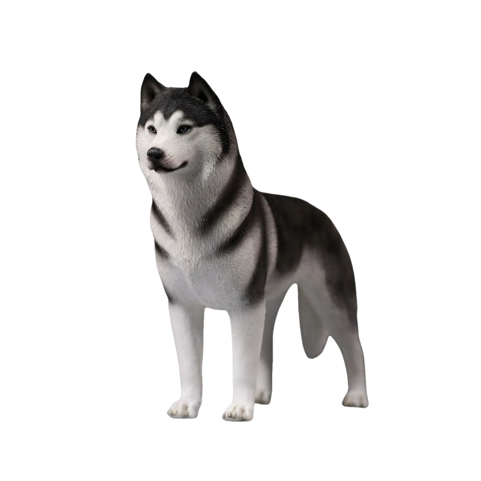 1/6 Siberian Husky Figure