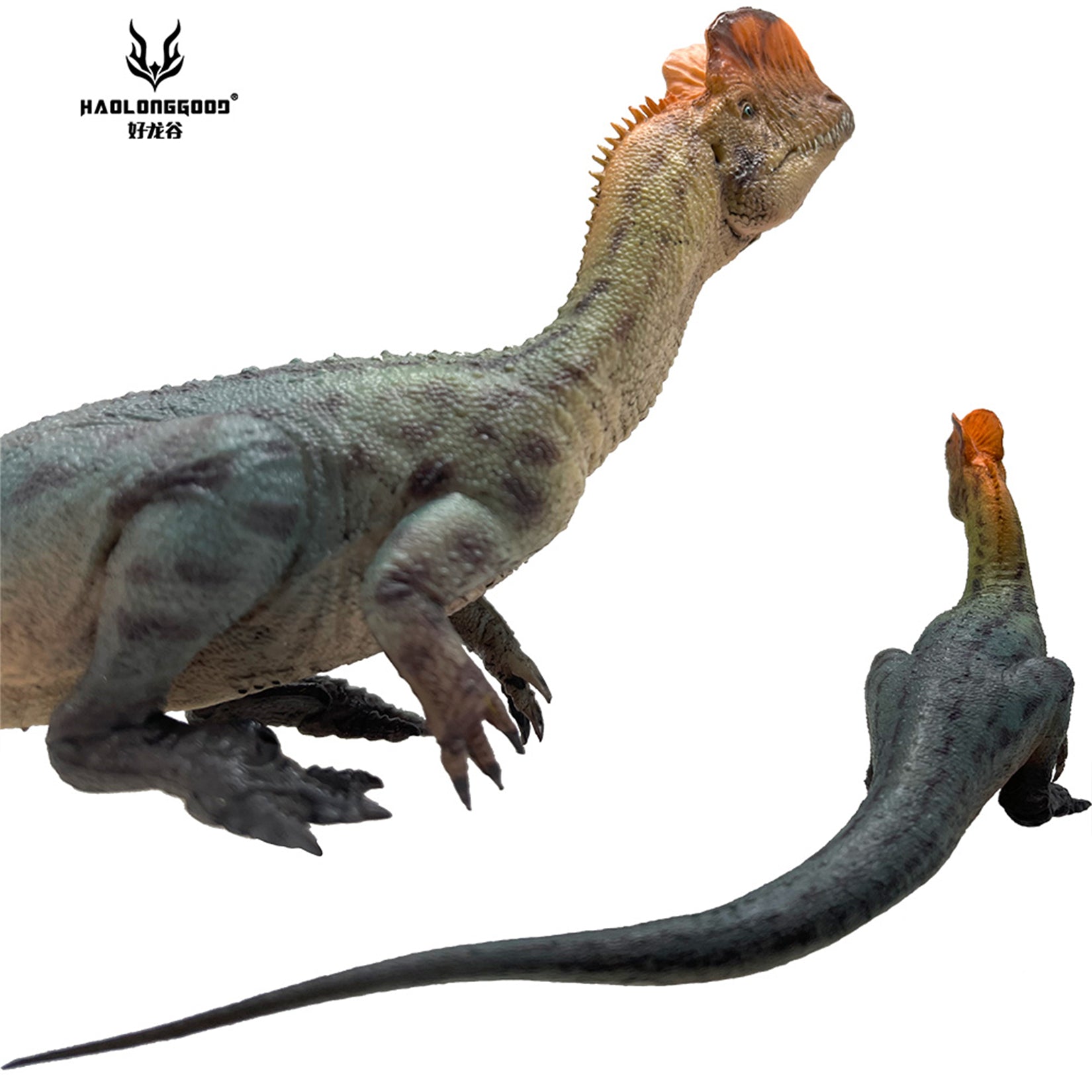 HAOLONGGOOD 1:35 Scale Dilophosaurus Pair Model