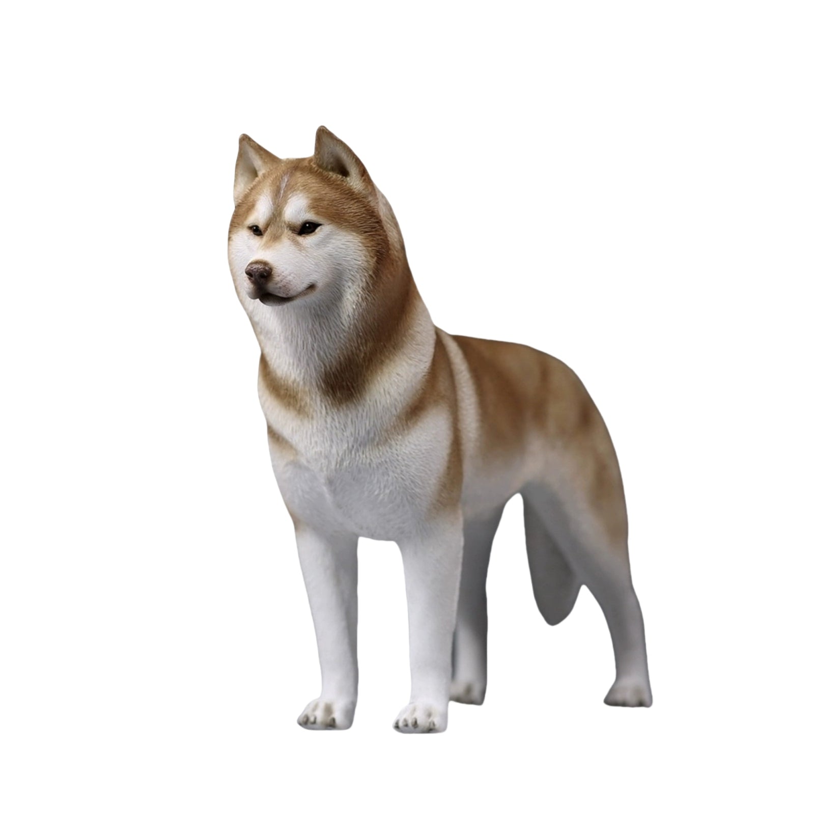 1/6 Siberian Husky Figure