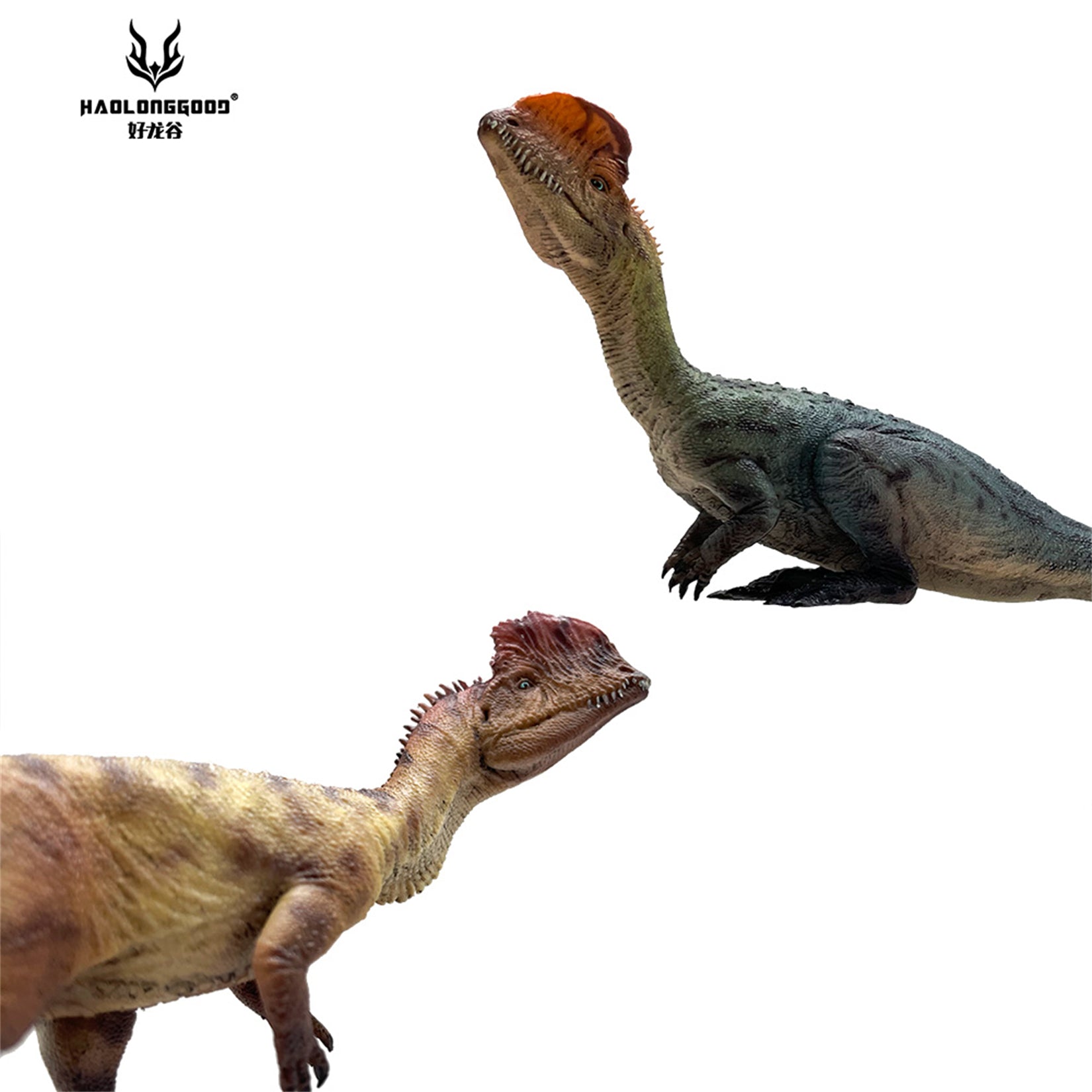 HAOLONGGOOD 1:35 Scale Dilophosaurus Pair Model
