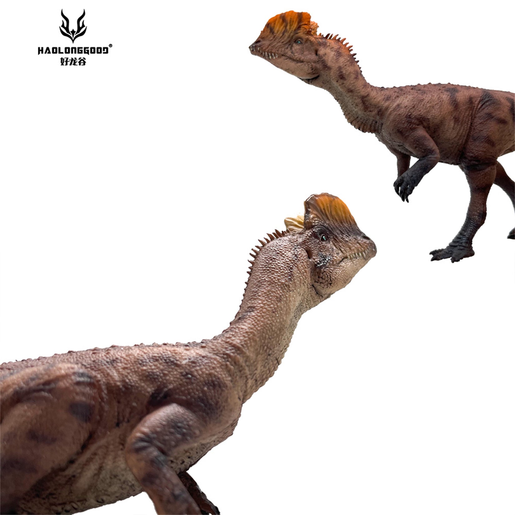 HAOLONGGOOD 1:35 Scale Dilophosaurus Pair Model