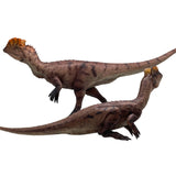 HAOLONGGOOD 1:35 Scale Dilophosaurus Pair Model
