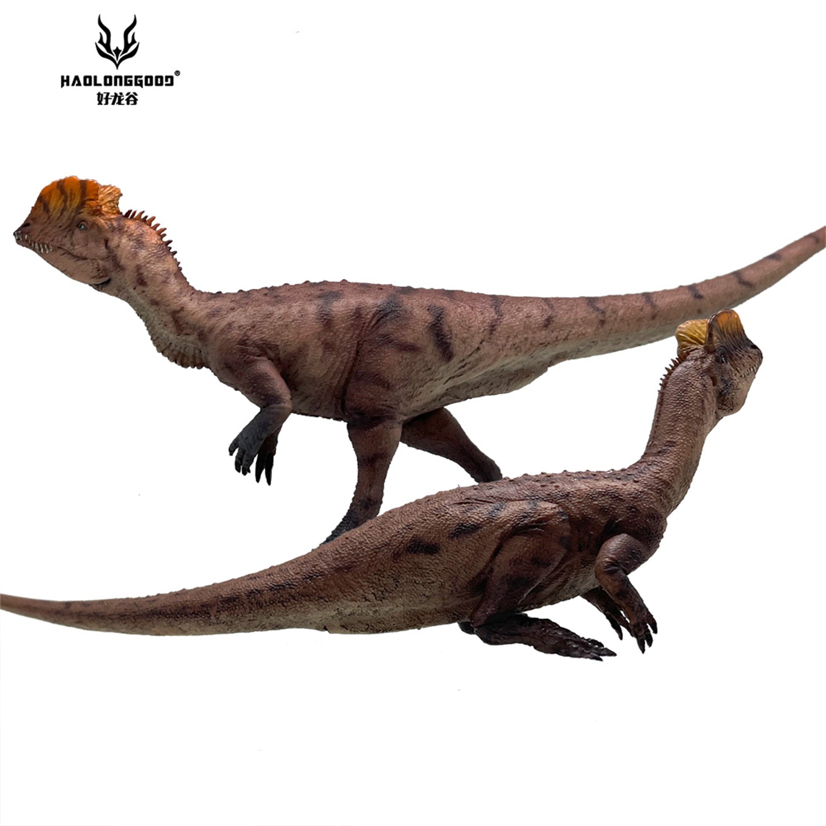 HAOLONGGOOD 1:35 Scale Dilophosaurus Pair Model