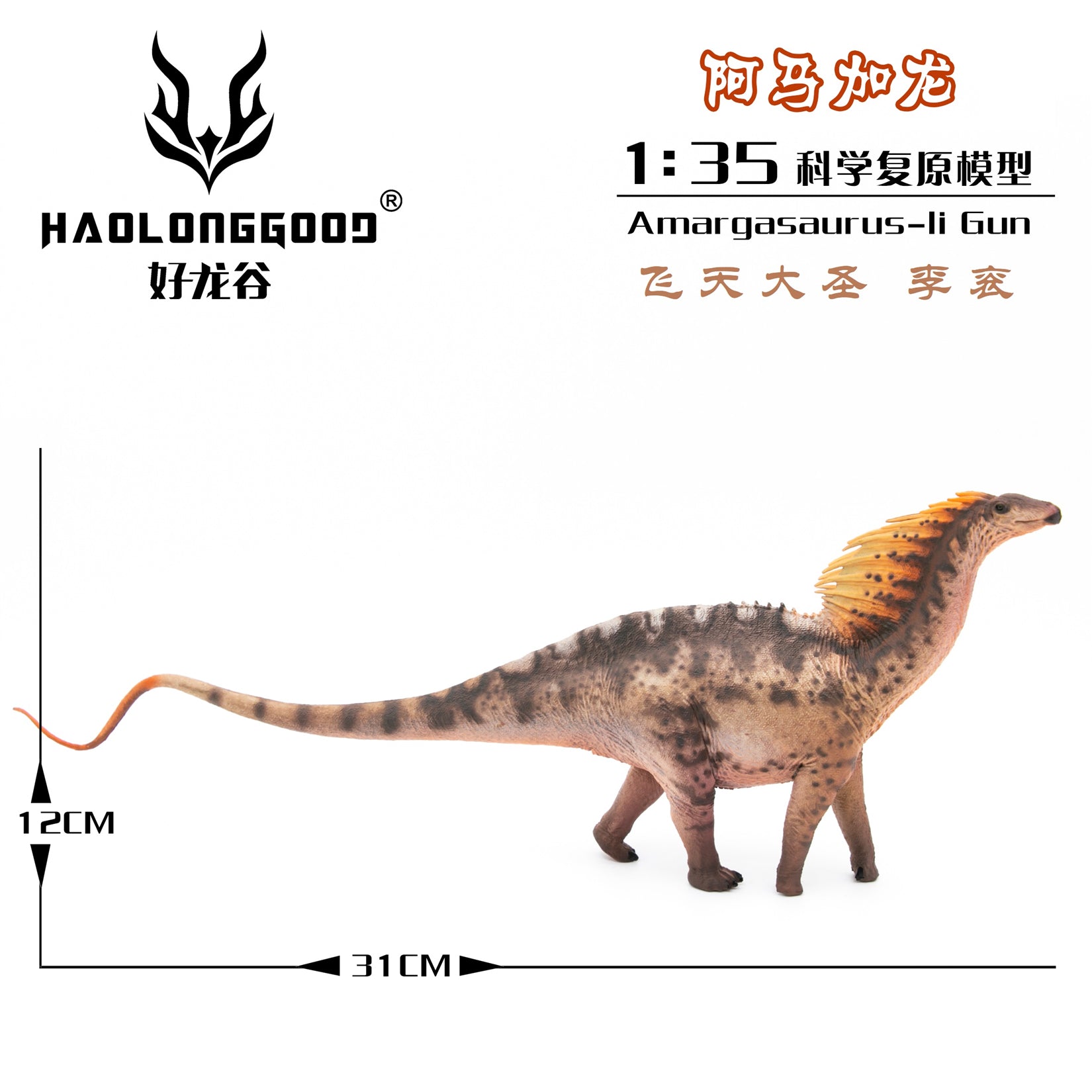 HAOLONGGOOD 1:35 Scale Amargasaurus Model