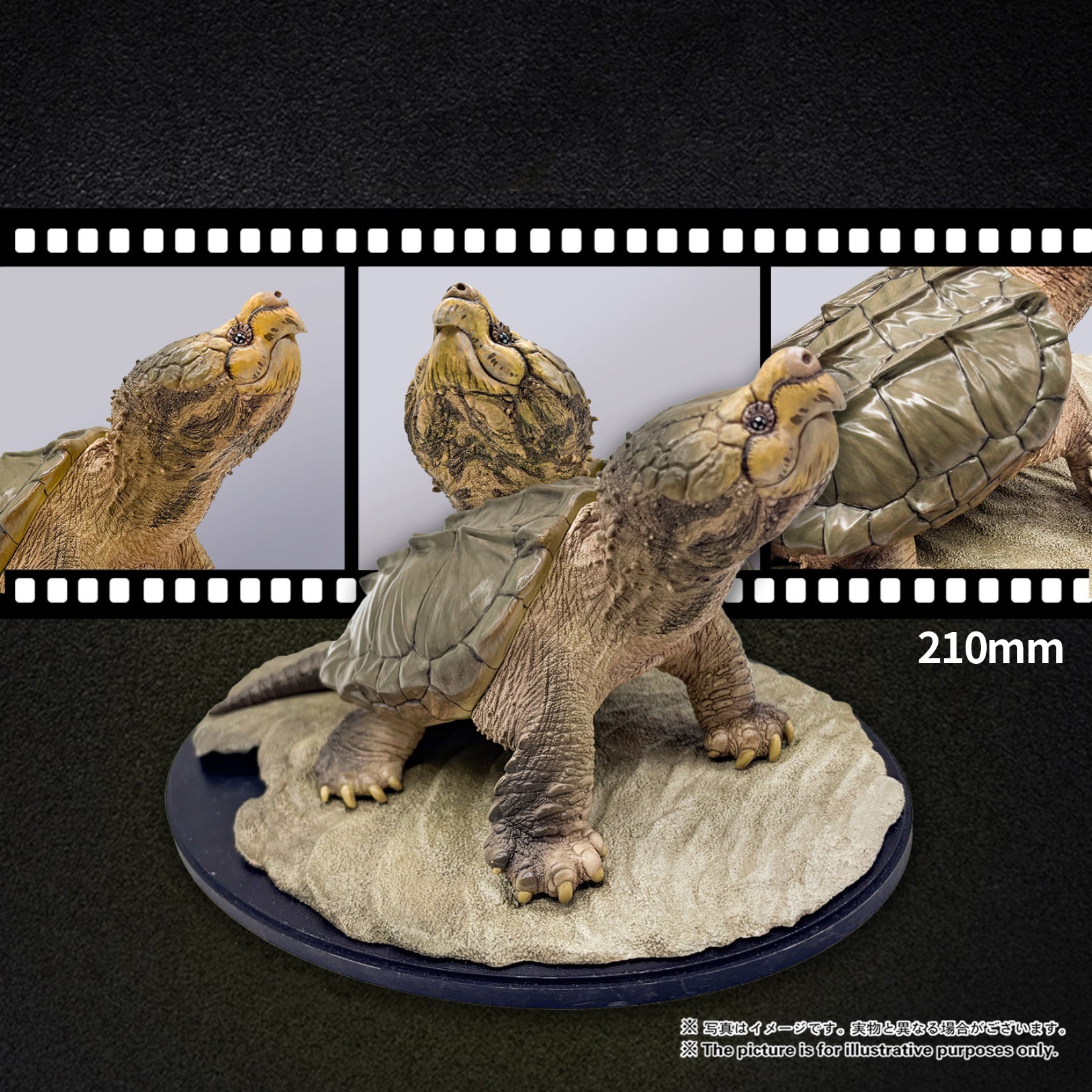 Animal Heavenly Body  Standing Alligator Snapping Turtle Figurine