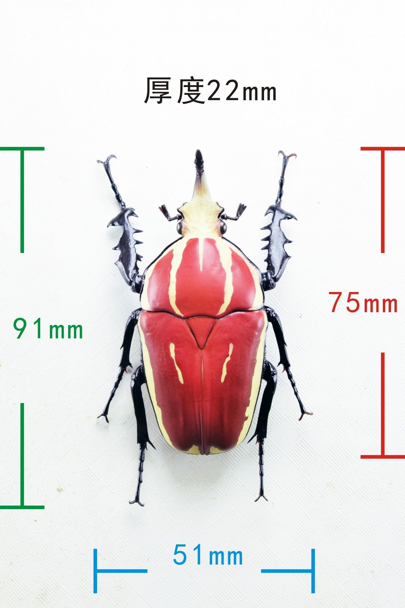 Wunderschöne Chemiepuppe im Maßstab 1:6 
