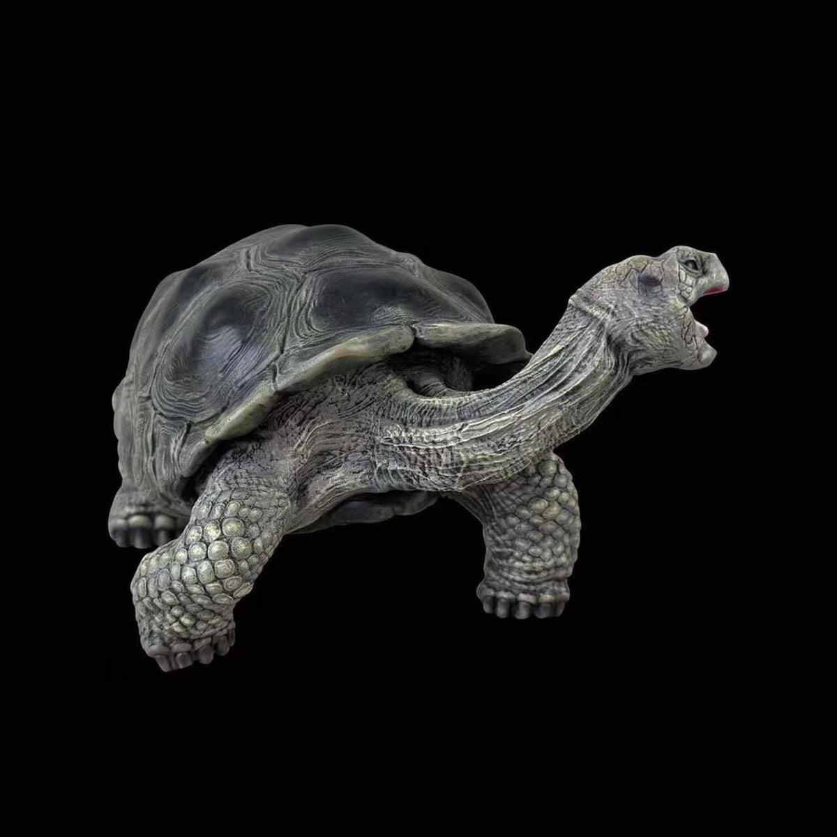 BOWUZHI Studio Chelonoidis Galapagoensis Turtle Model