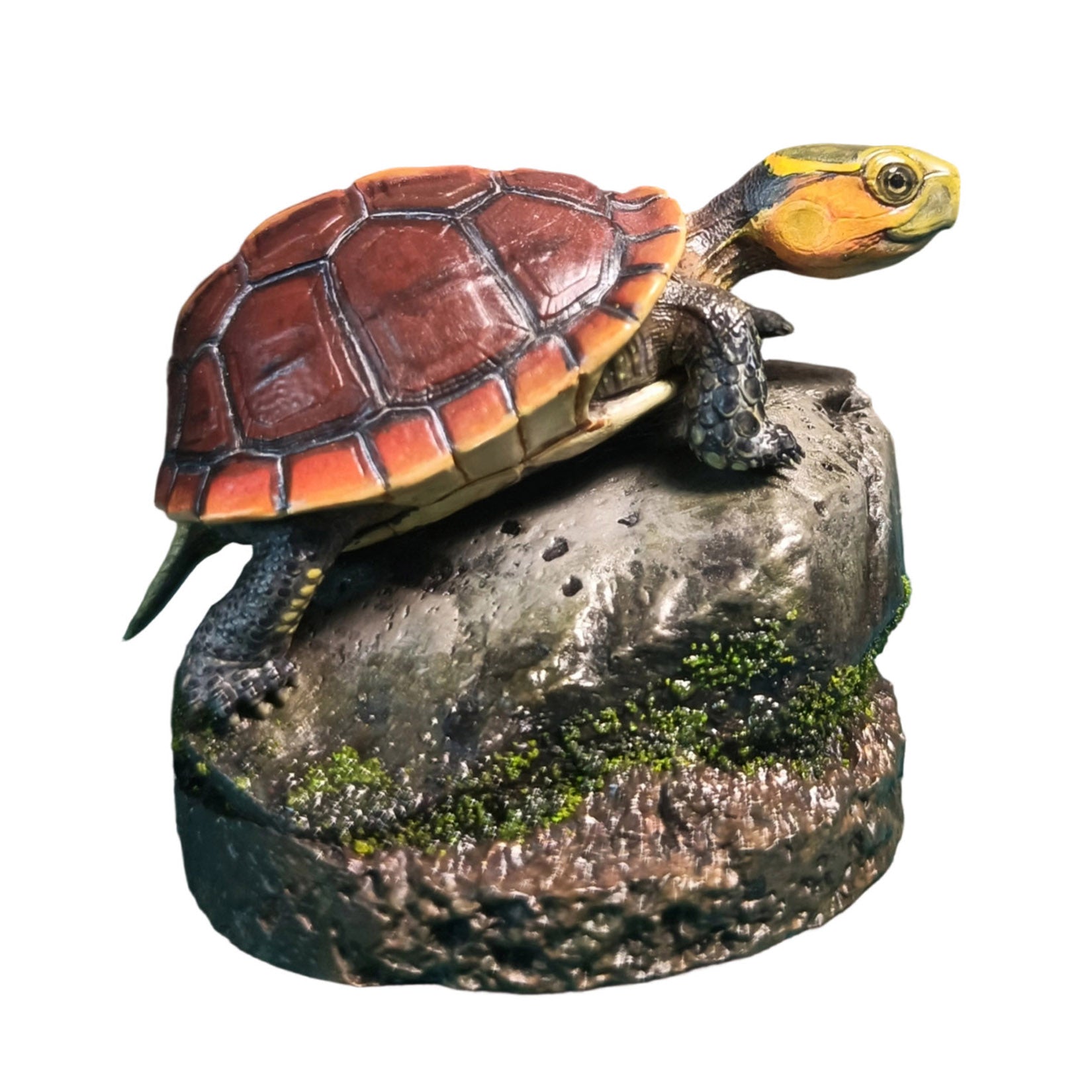 Yellow-margined Box Turtle Baby Scene Decoration