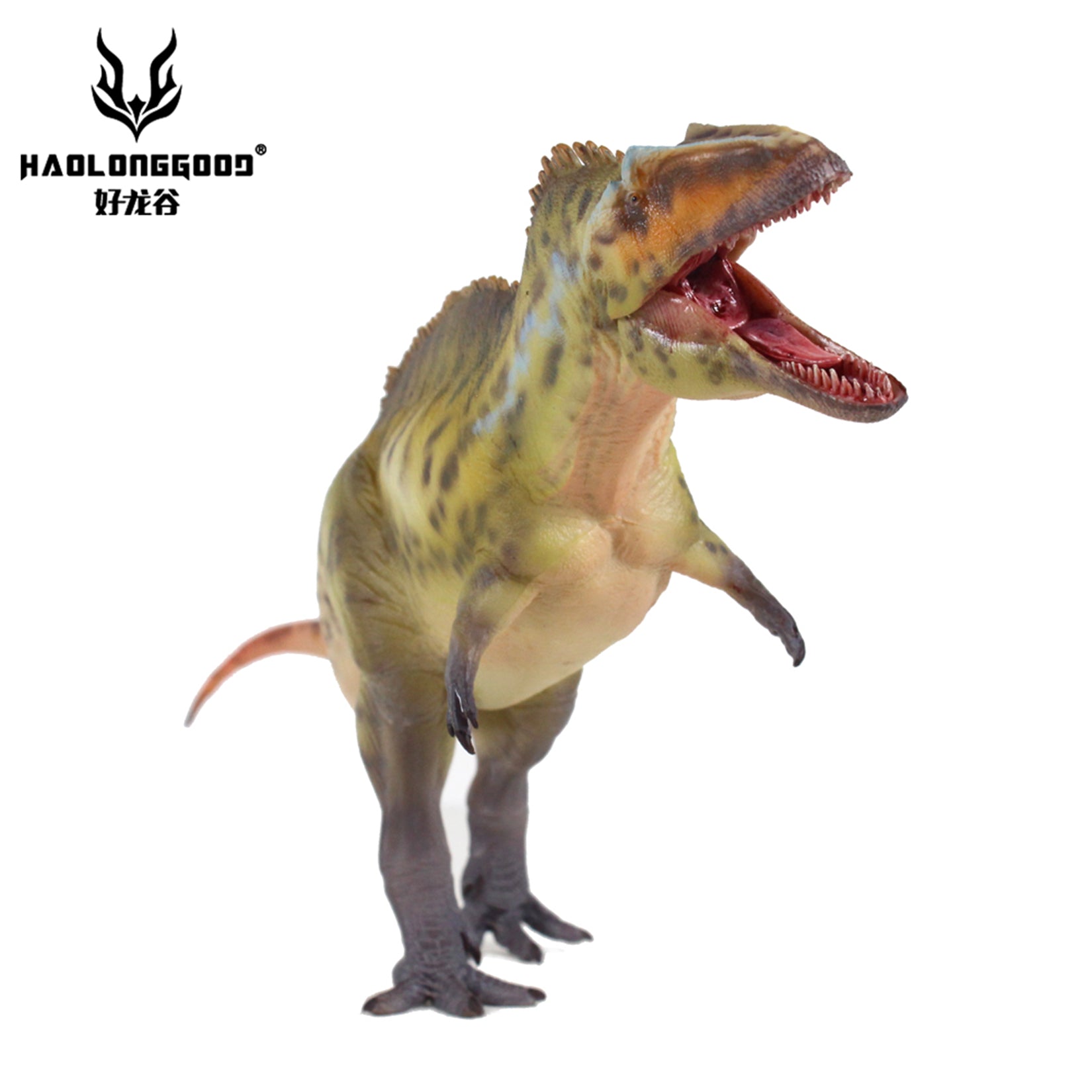 HAOLONGGOOD 1:35 Scale Acrocanthosaurus Model