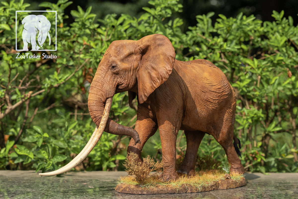 ZoaTusker Studio African Elephant Queen Dida Model