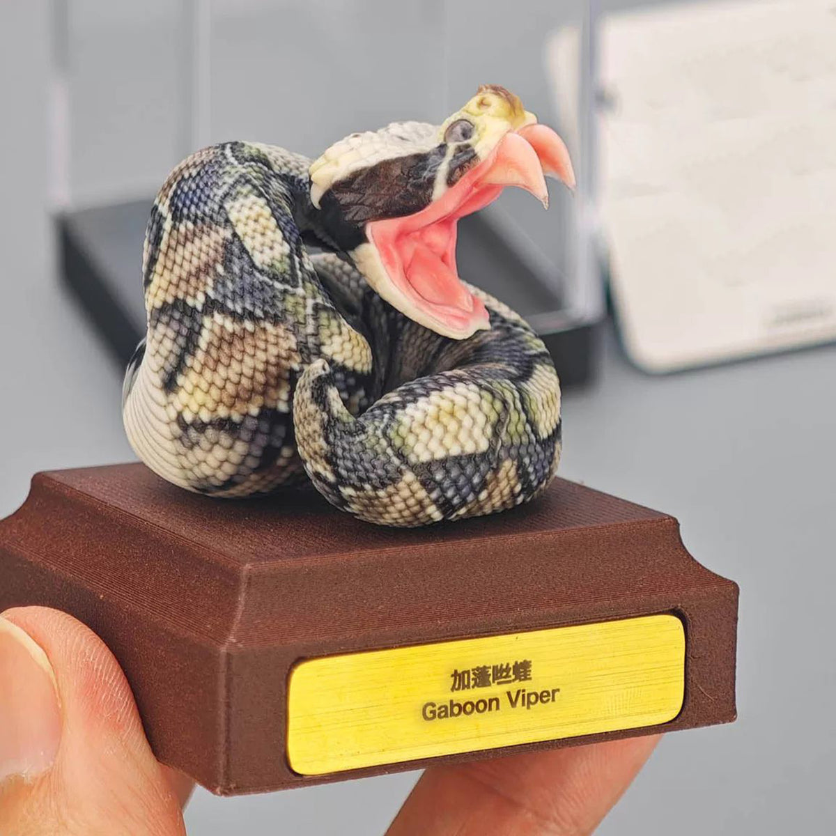 ViVid Studio Rhinoceros Viper & Gaboon Viper Model