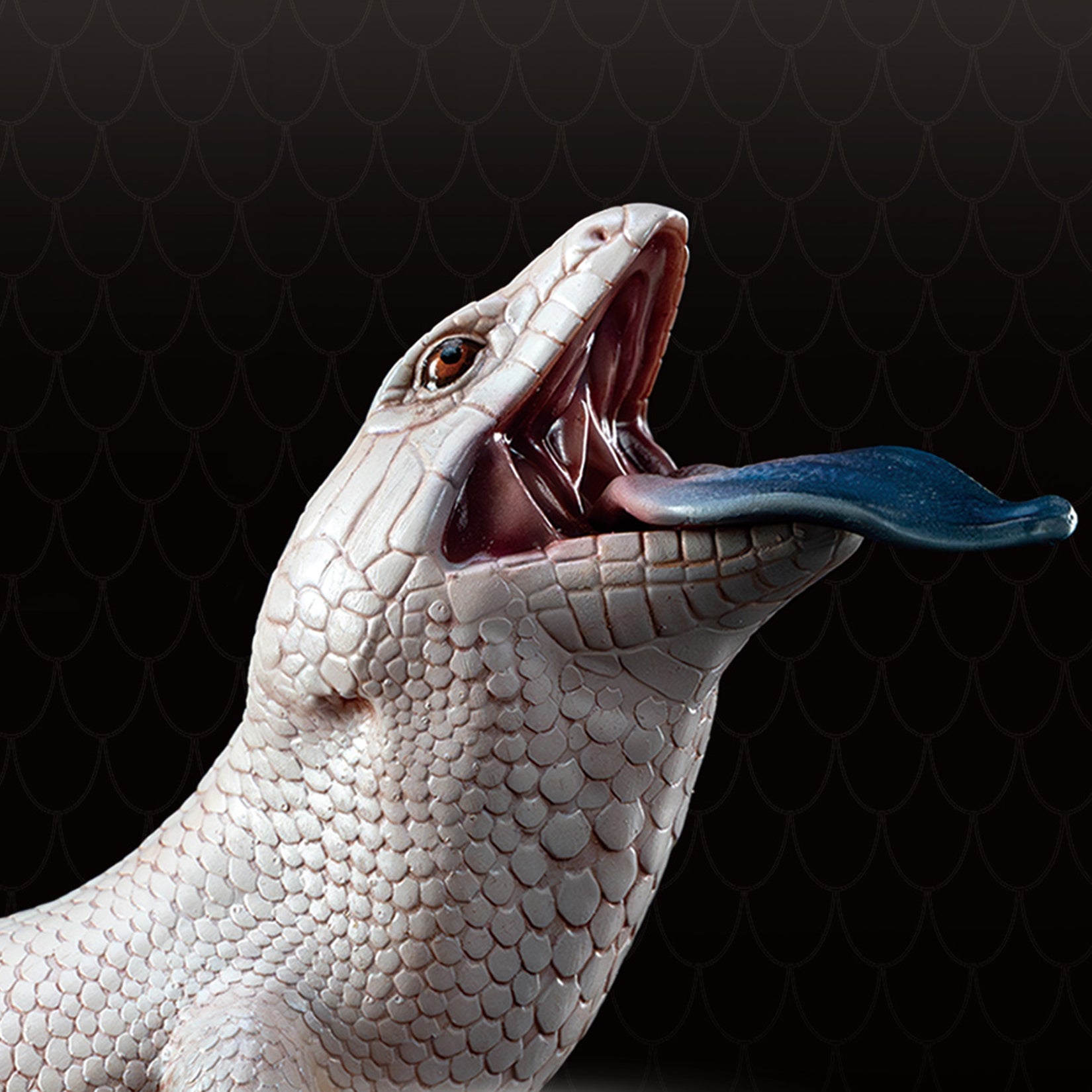 Common Bluetongue Model