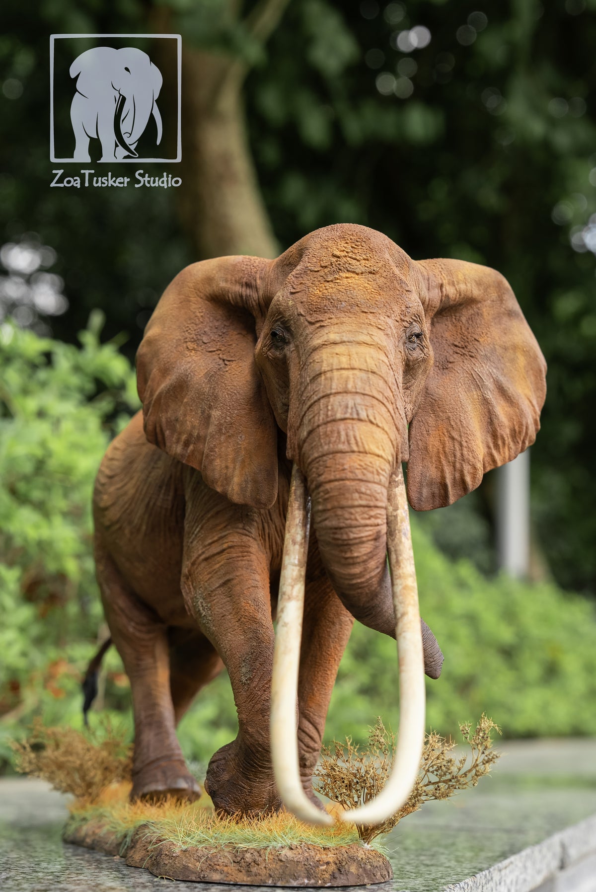 ZoaTusker Studio African Elephant Queen Dida Model