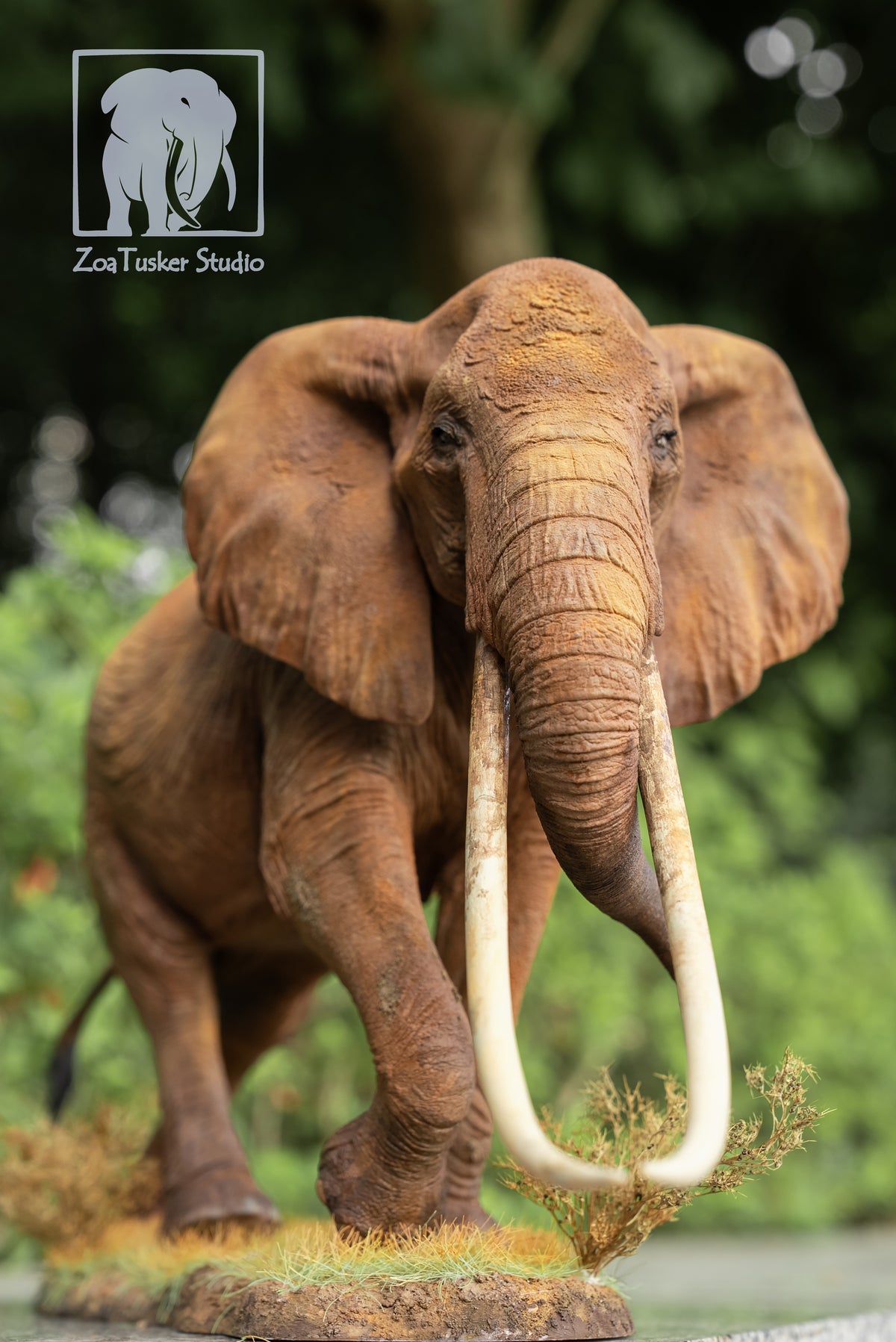 ZoaTusker Studio African Elephant Queen Dida Model
