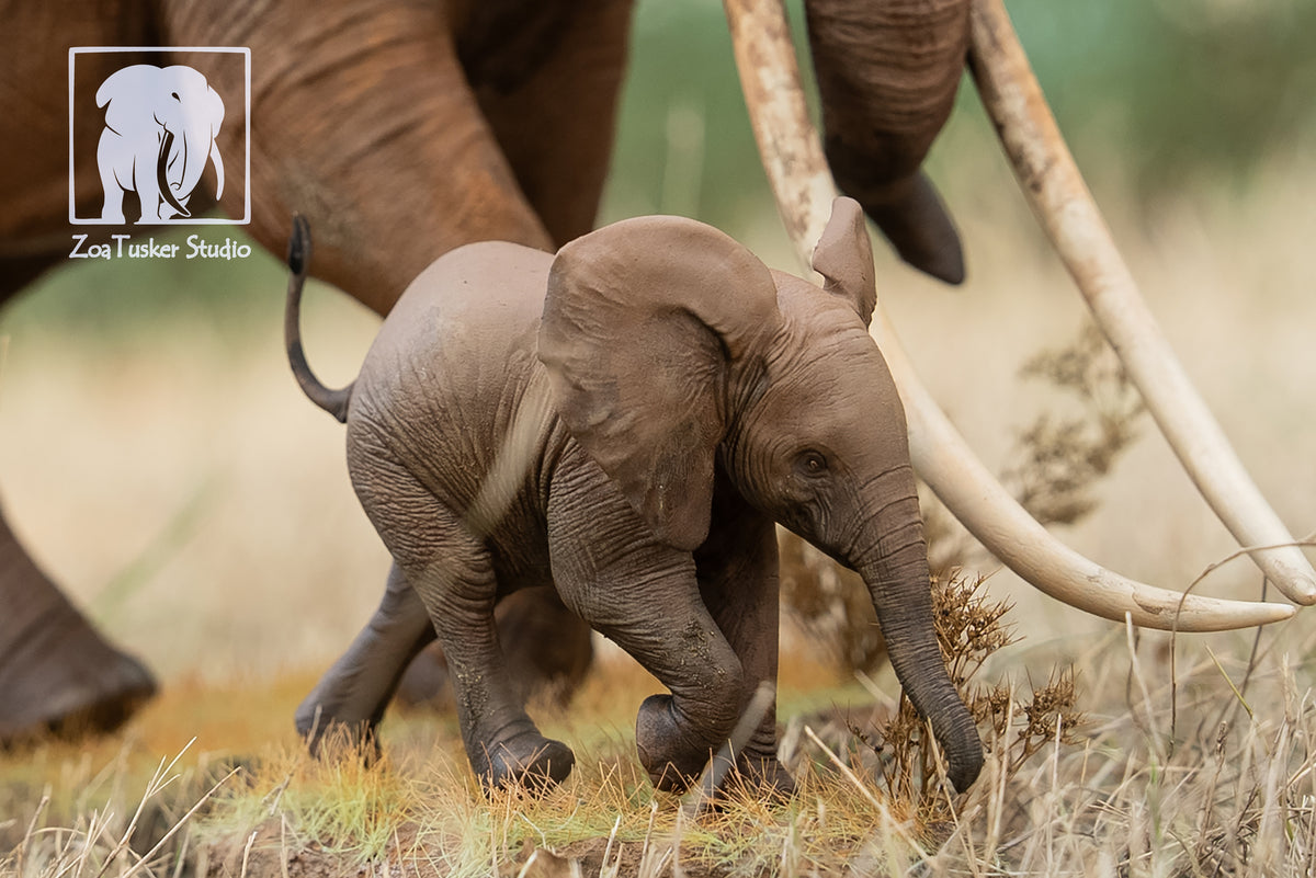 ZoaTusker Studio African Elephant Queen Dida Model
