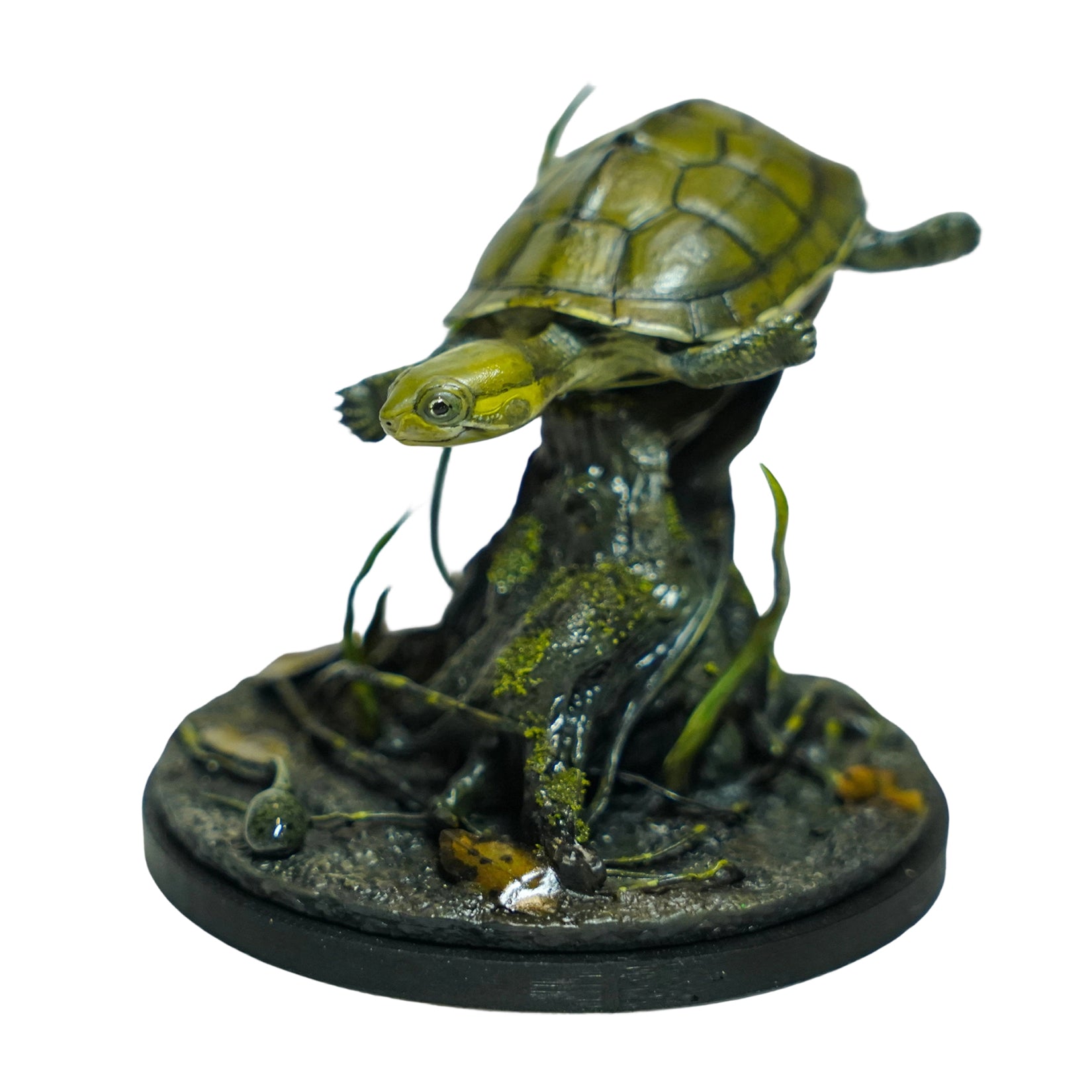 Yellow Pond Turtle Model