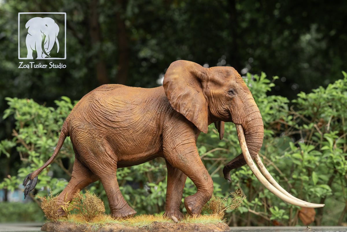 ZoaTusker Studio African Elephant Queen Dida Model