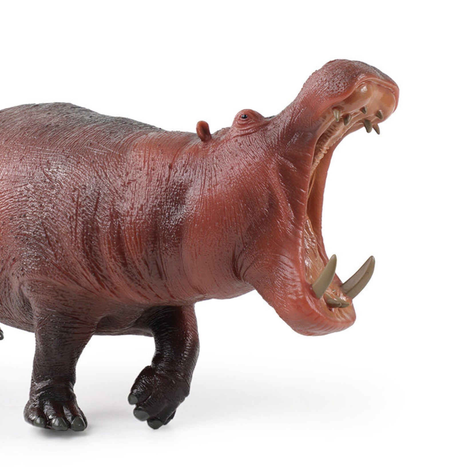 RECUR Hippopotamus Model Animal Figure Collector