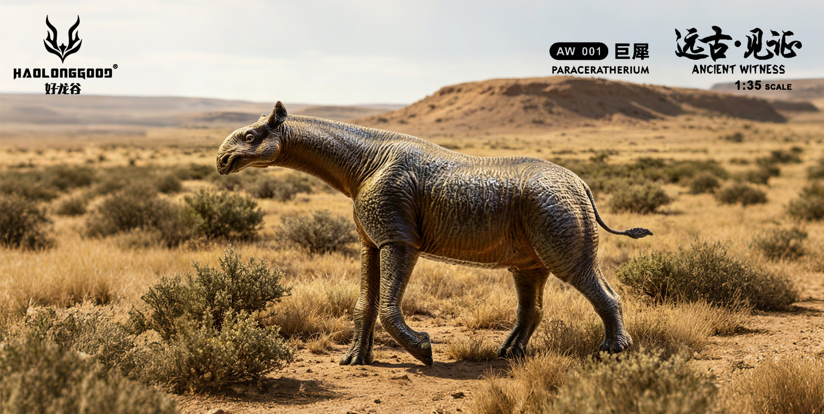 HAOLONGGOOD 1:35 Scale Paraceratherium Model