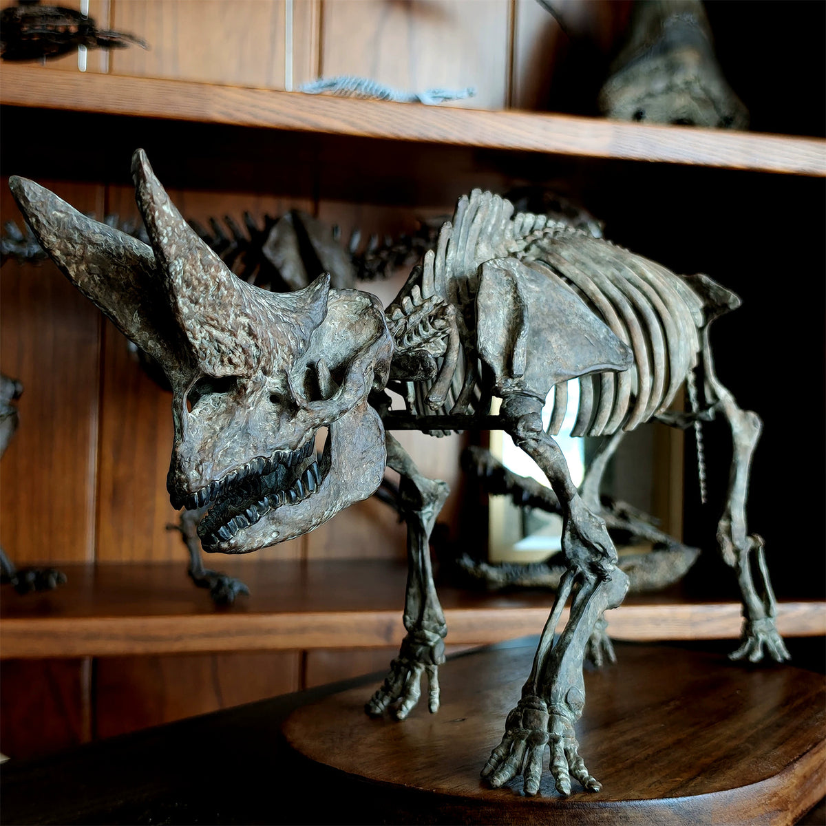 3D Printed 1:18 Scale Arsnoitherium Skeleton Model