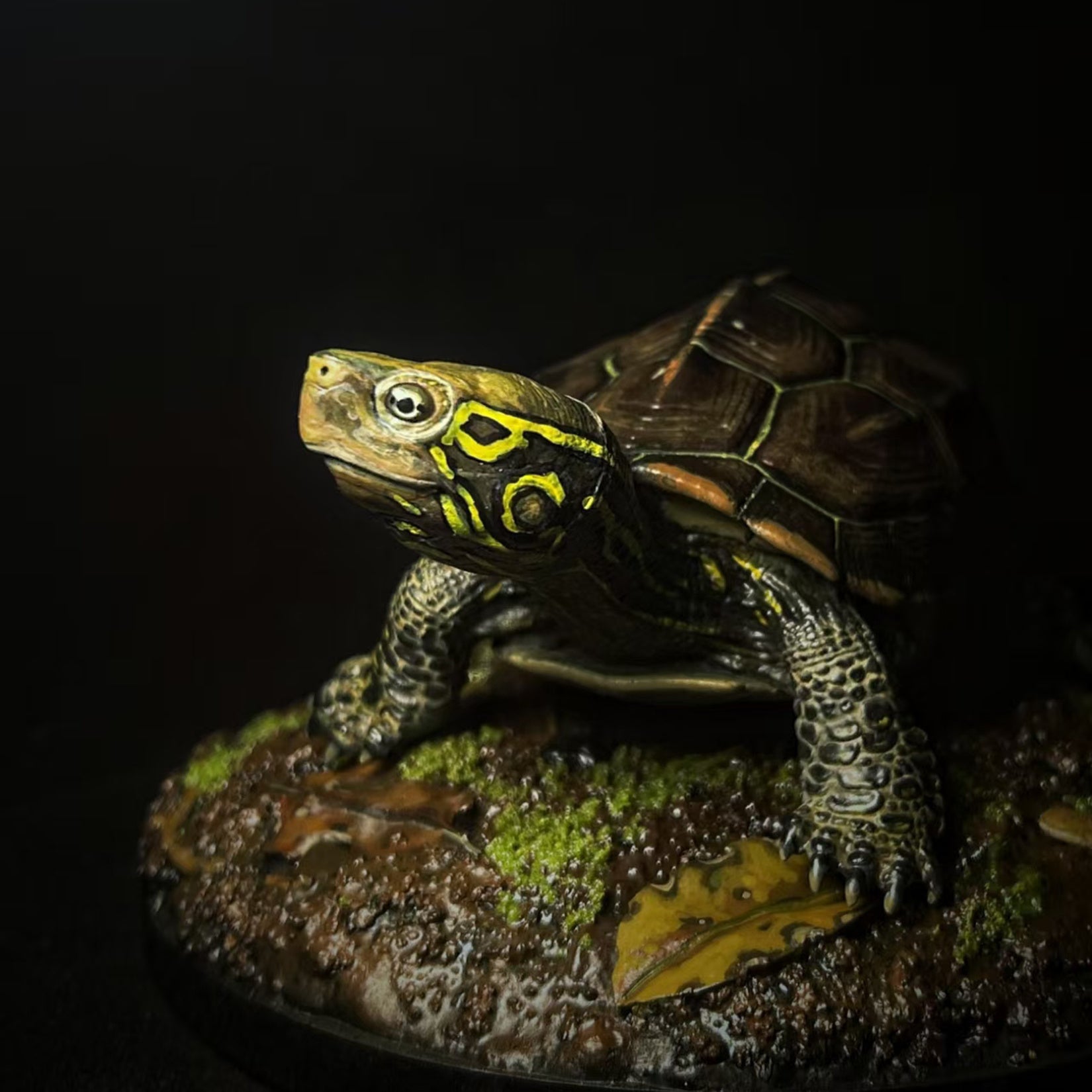 Großköpfiges Schildkrötenmodell 