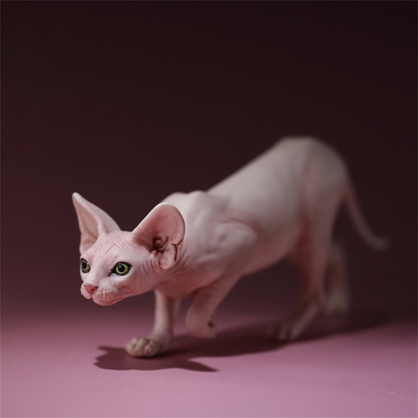 1/6 Canadian Hairless Figure