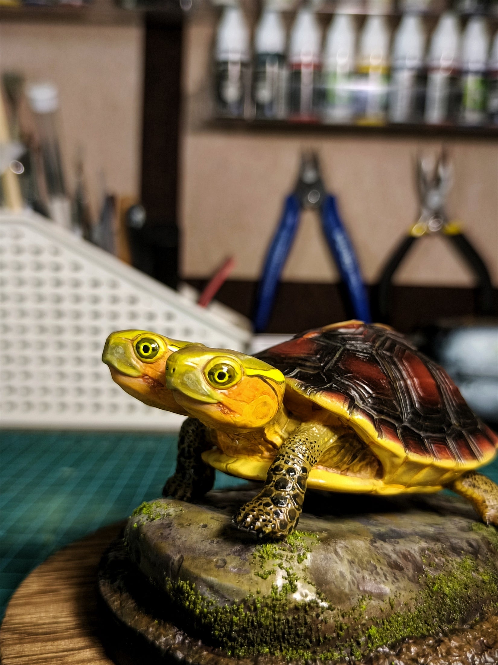 Two-headed Yellow-margined Box Turtle Model