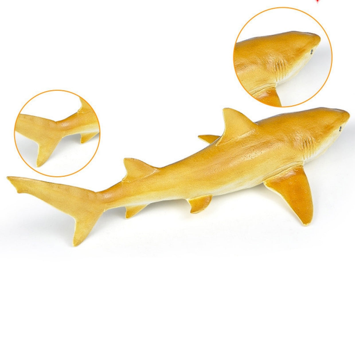 RECUR Lemon Shark Model