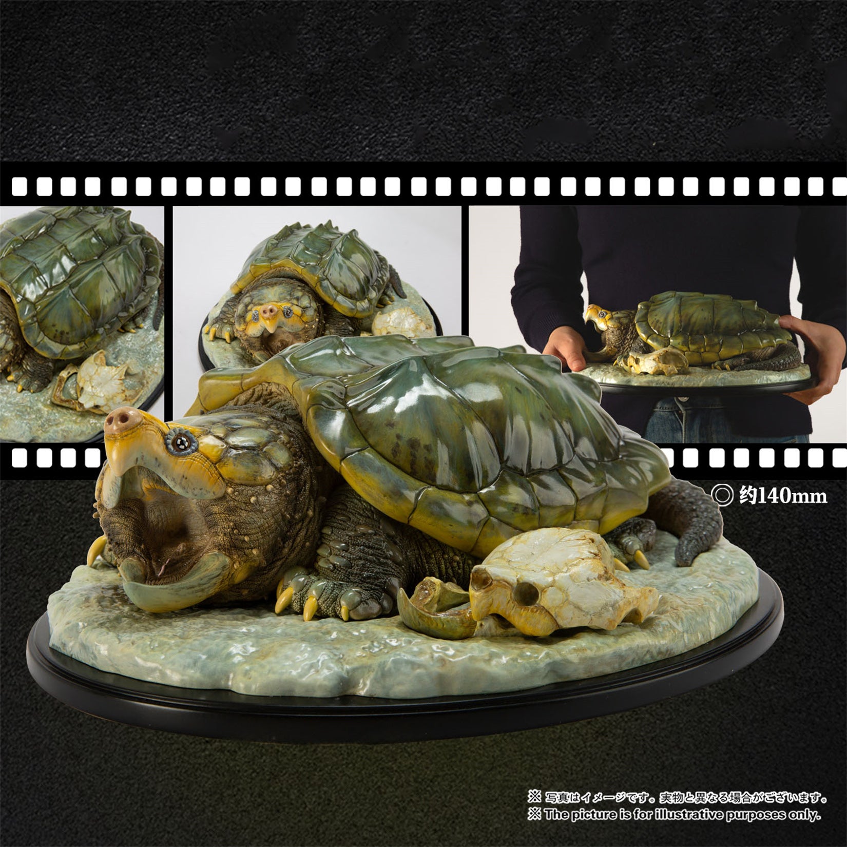 Animal Heavenly Body  Plus Alligator Snapping Turtle Figurine