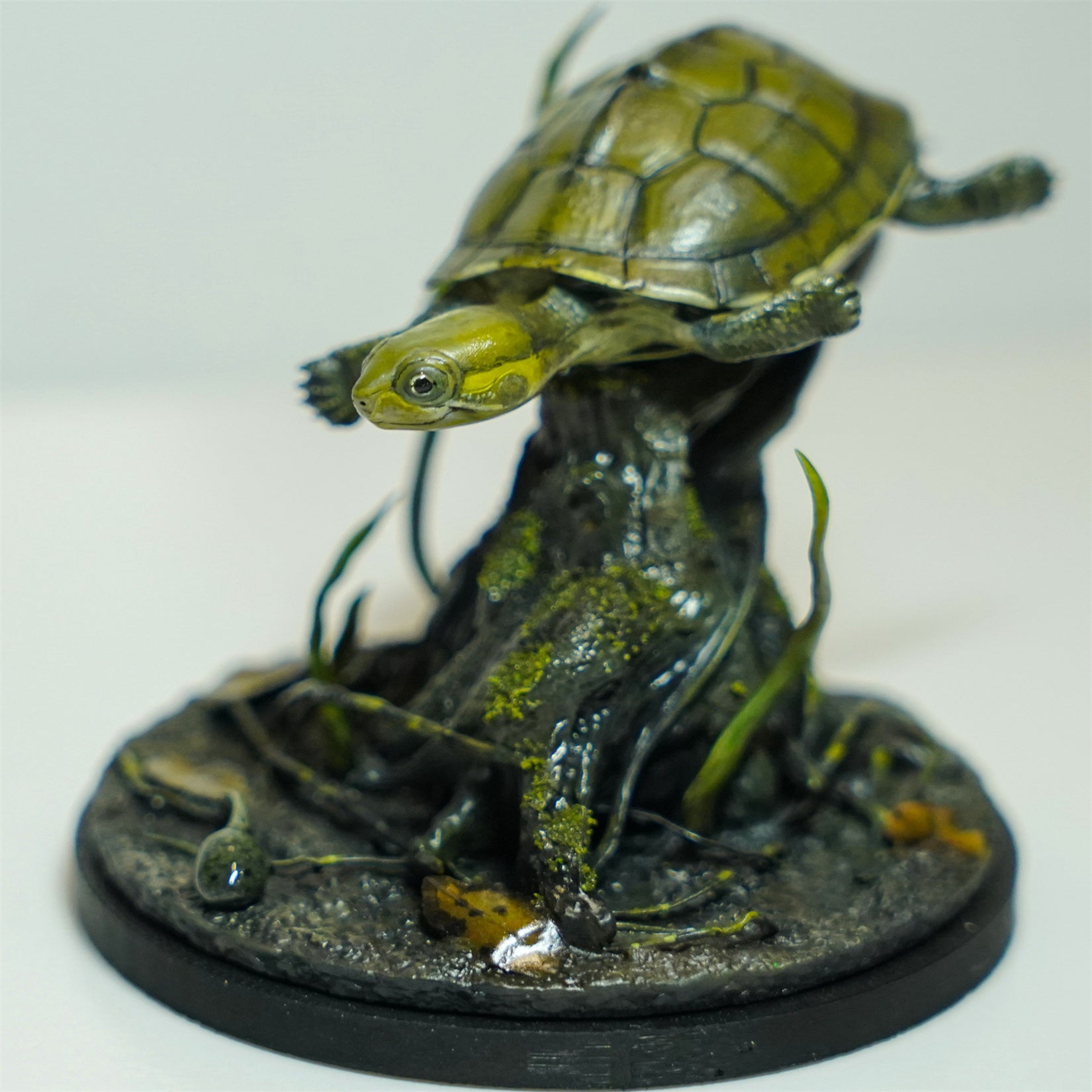 Yellow Pond Turtle Model