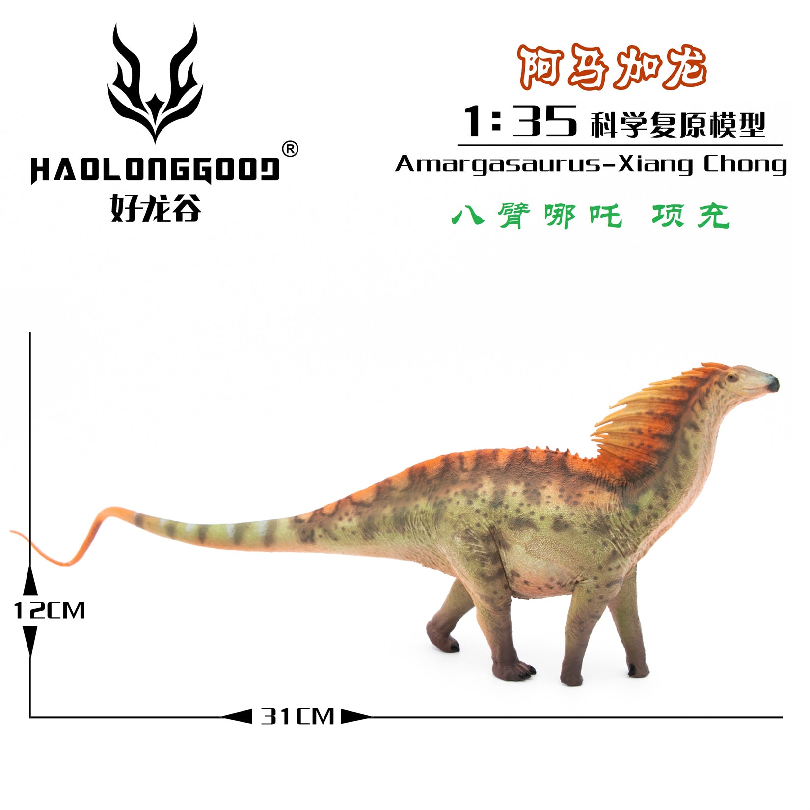 HAOLONGGOOD 1:35 Scale Amargasaurus Model