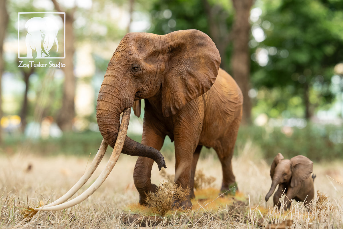 ZoaTusker Studio African Elephant Queen Dida Model