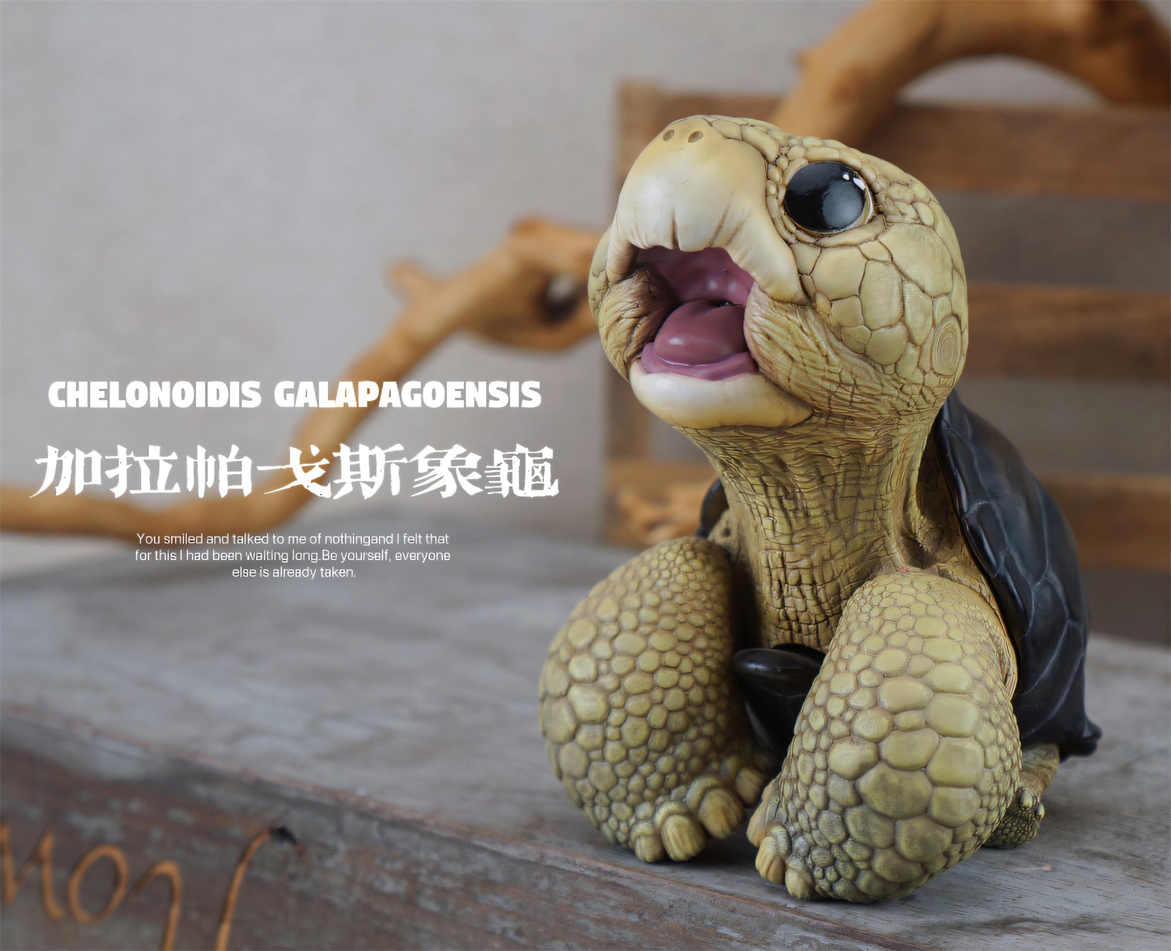 BOWUZHI Studio Geochelone Carbonaria & Chelonoidis Galapagoensis Model