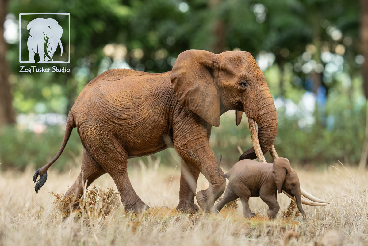 ZoaTusker Studio African Elephant Queen Dida Model