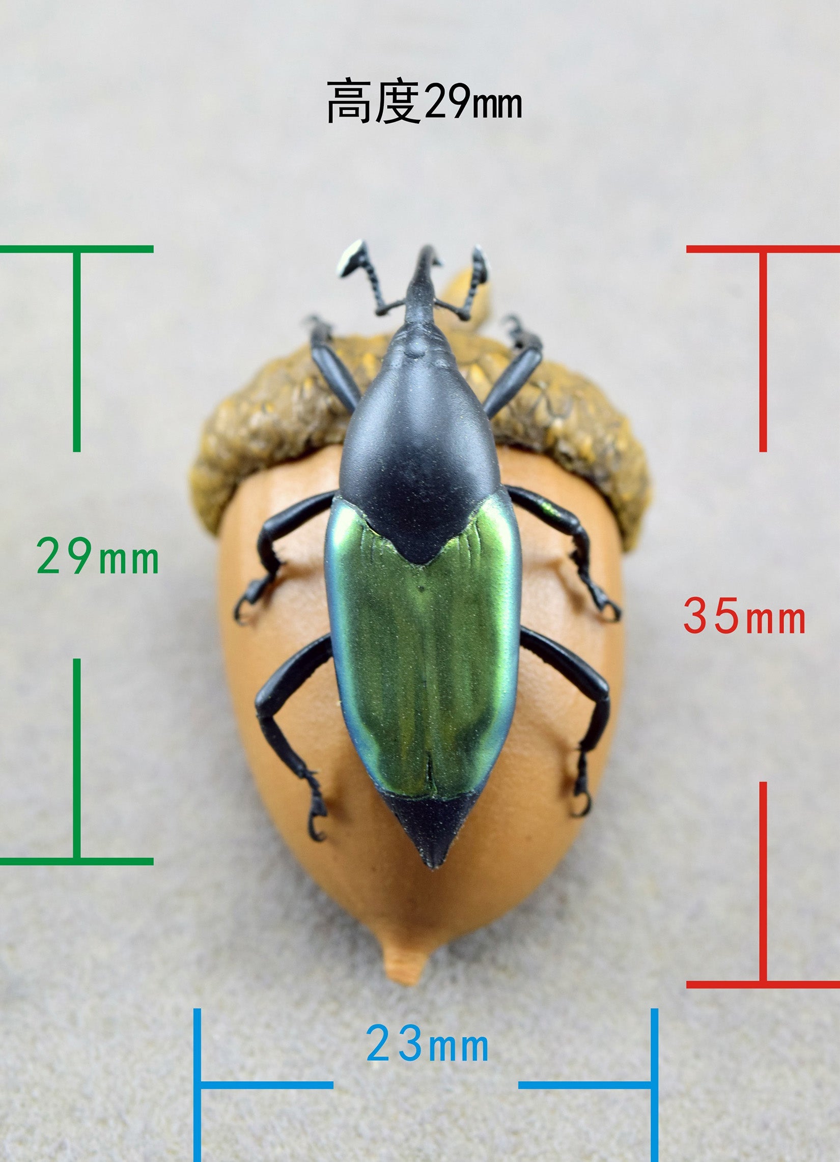 Paratasis elegans Fridge Magnet Model