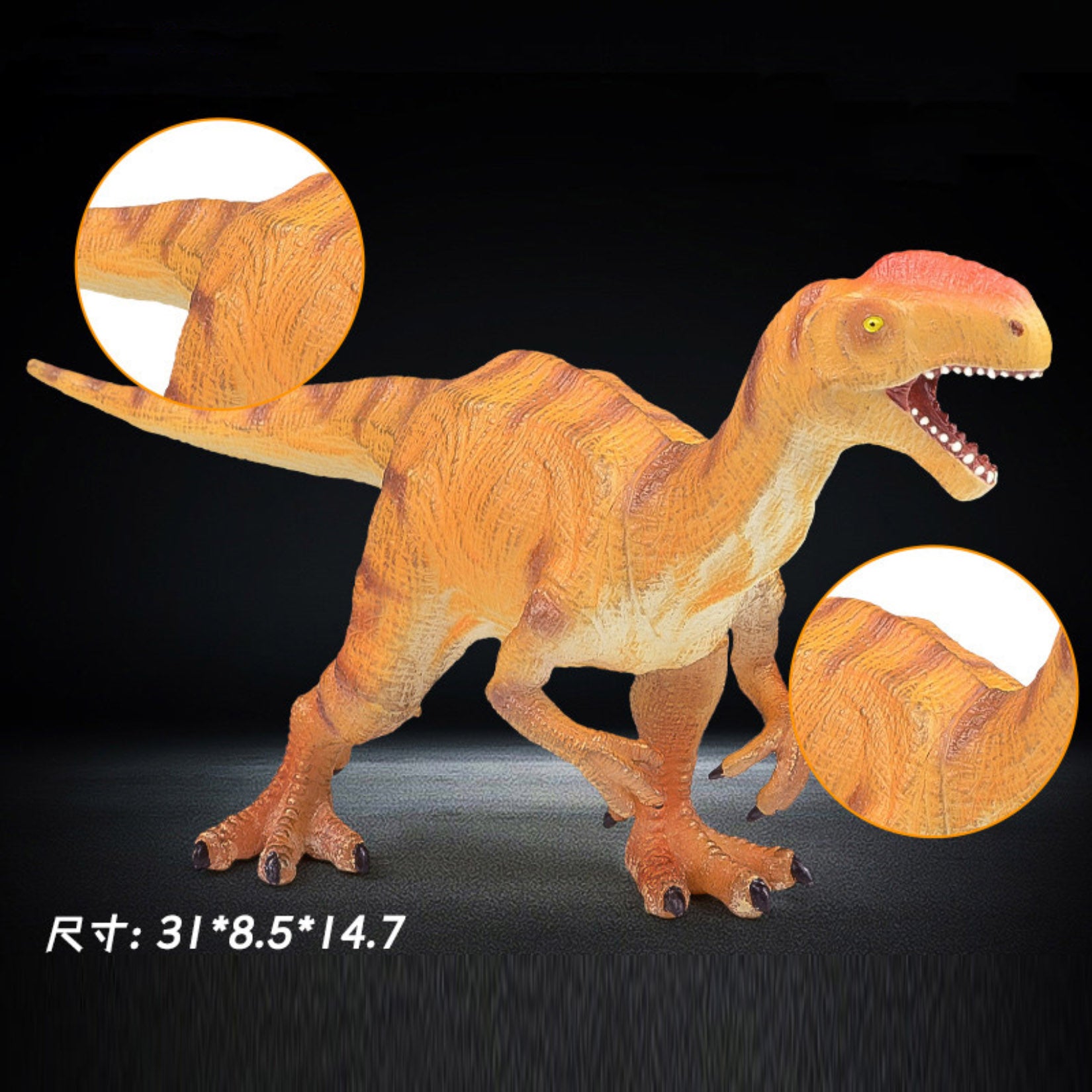 RECUR Monolophosaurus  Model
