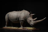 De CLAY Studio White rhinoceros Model
