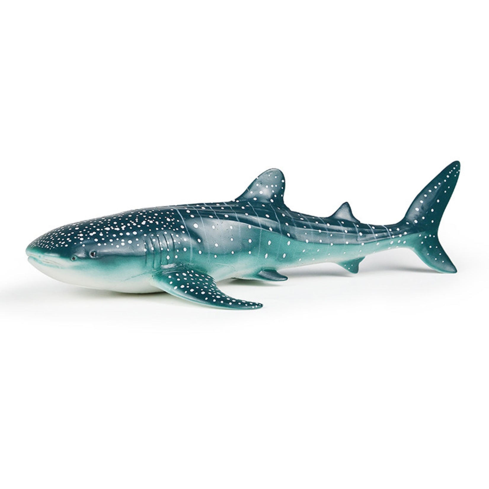 RECUR Whale Shark Model