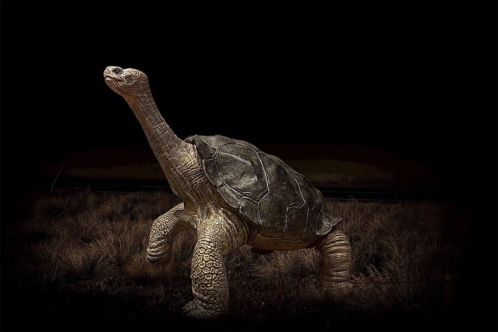 Lonesome George Model
