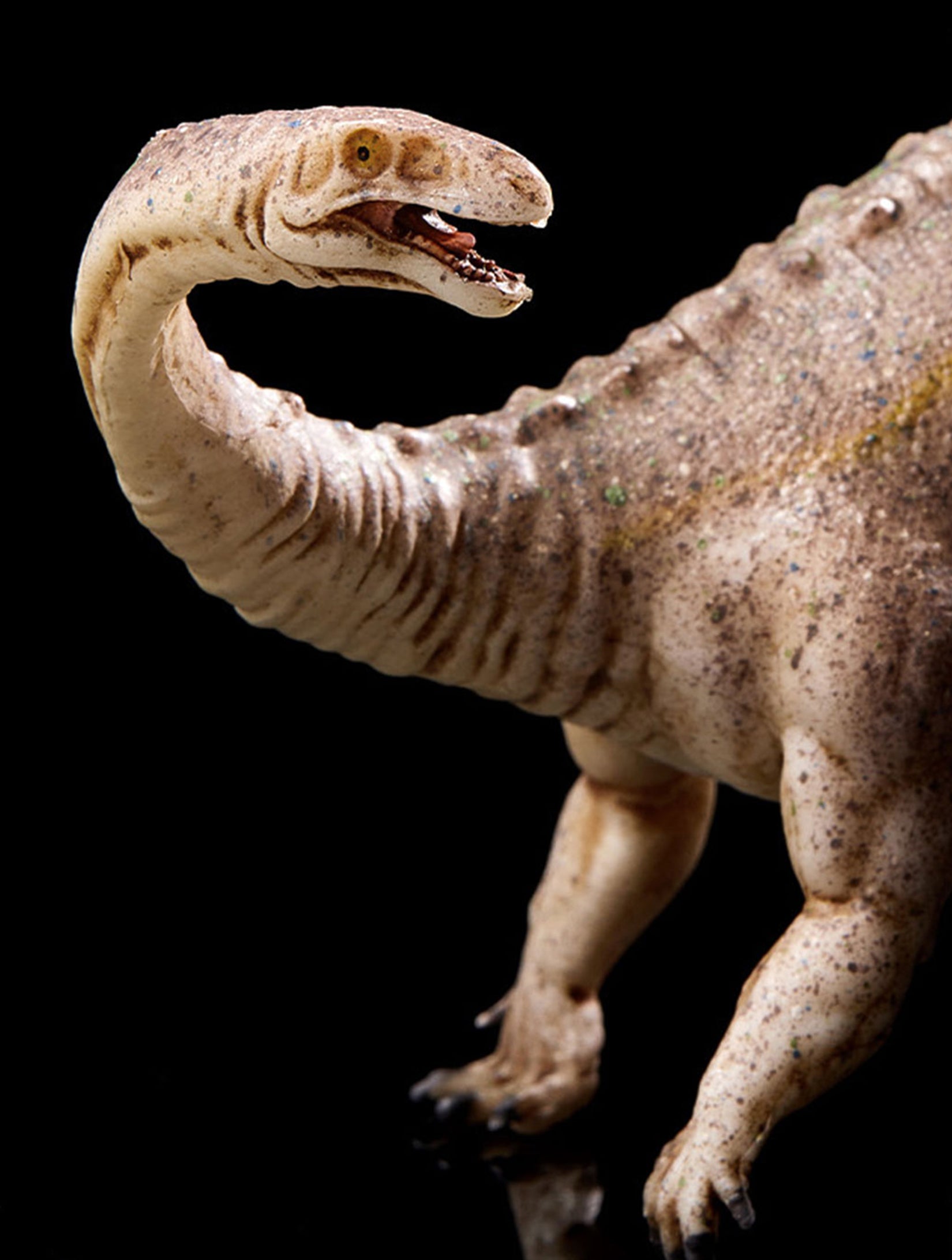 Lufengosaurus Huenei Model  Dinosaur Figurine Decor